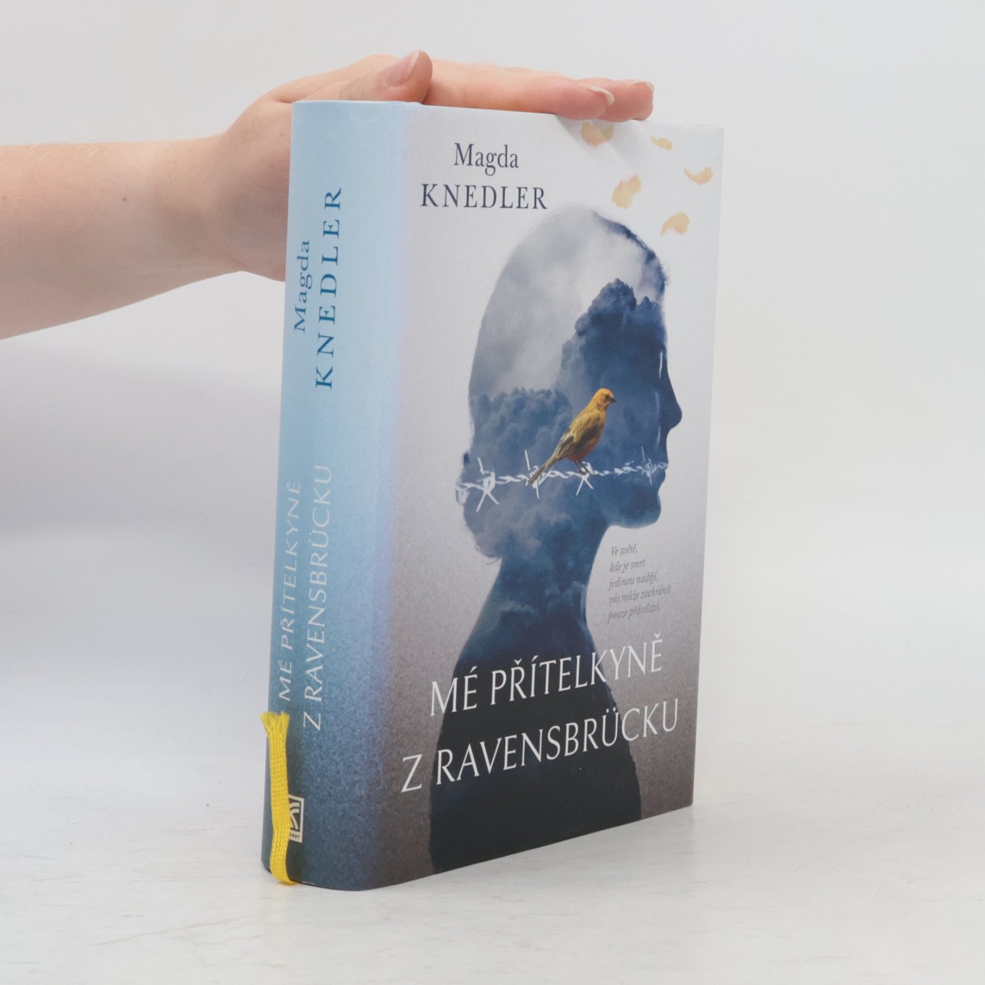 Magdalena Knedler Mé přítelkyně z Ravensbrücku