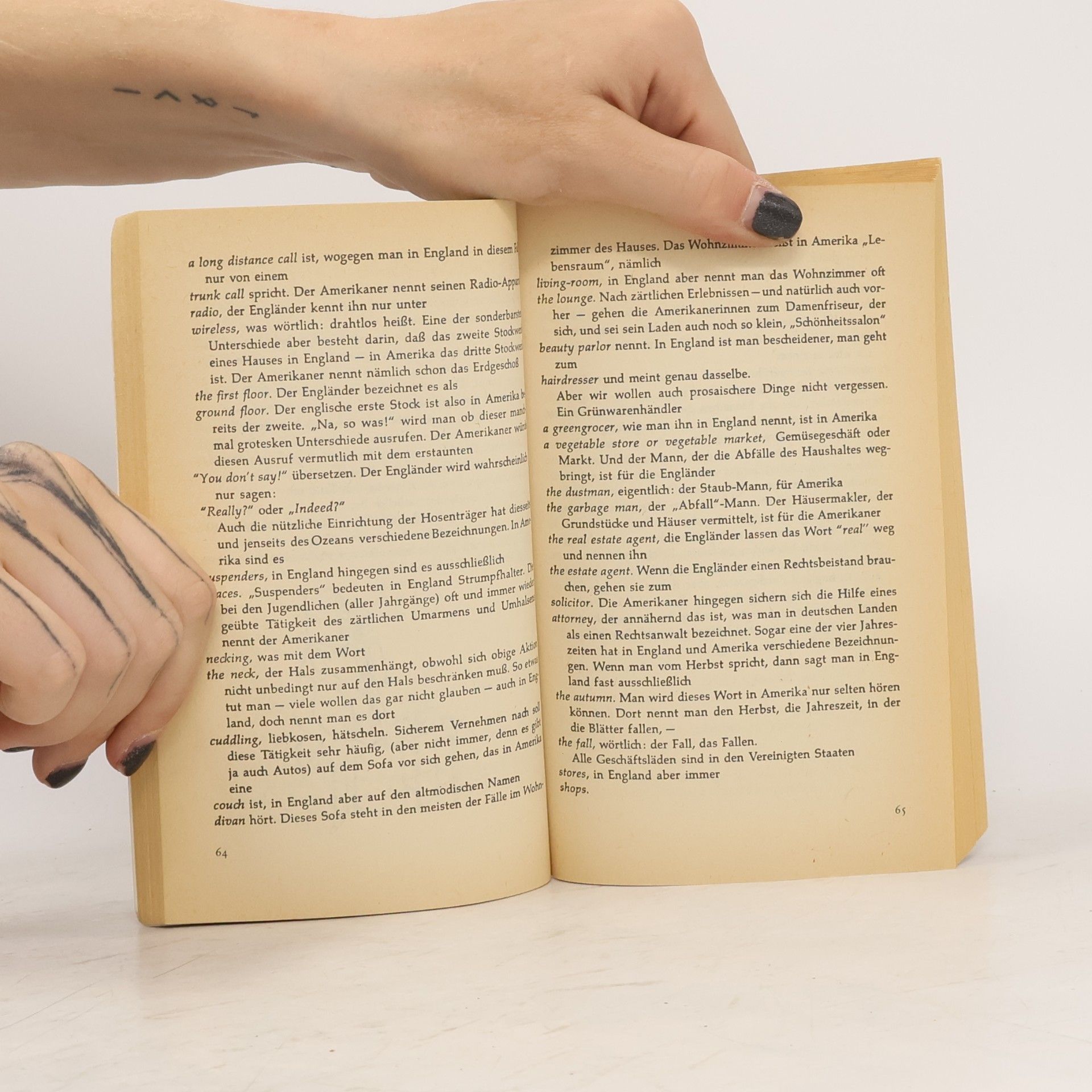 Arthur Steiner Englisch wie es nicht im Wörterbuch steht