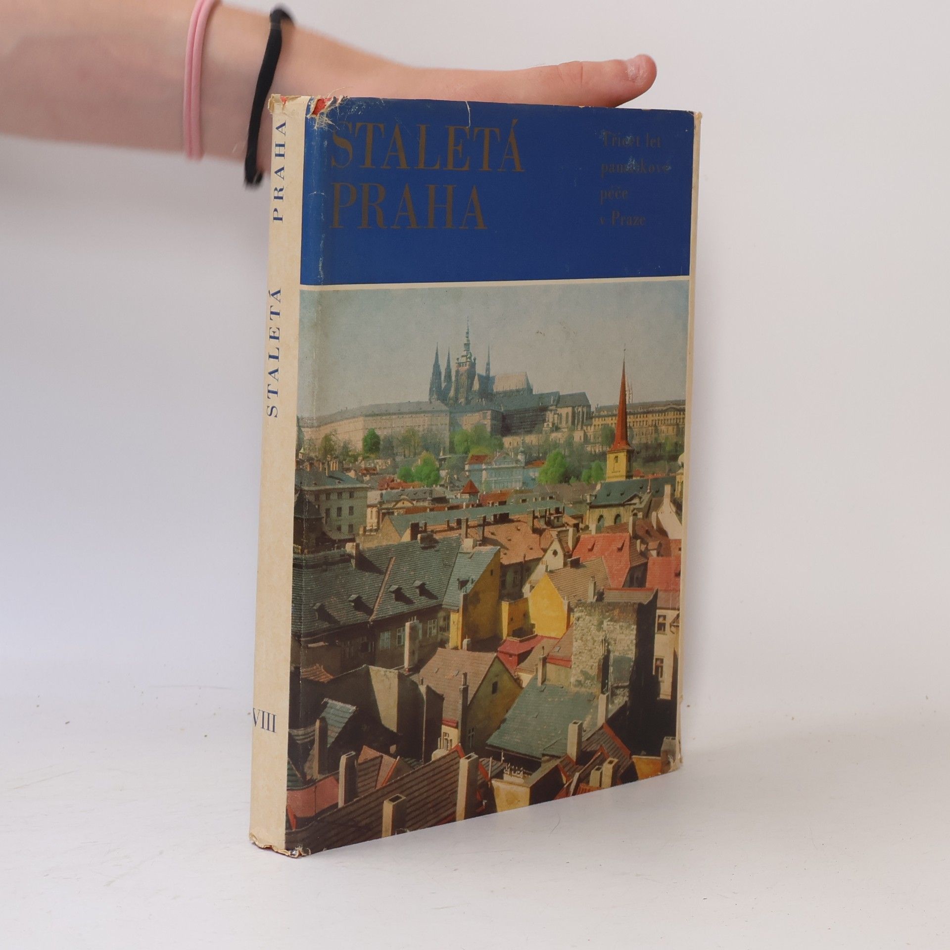 Zdislav Buříval Staletá Praha VIII