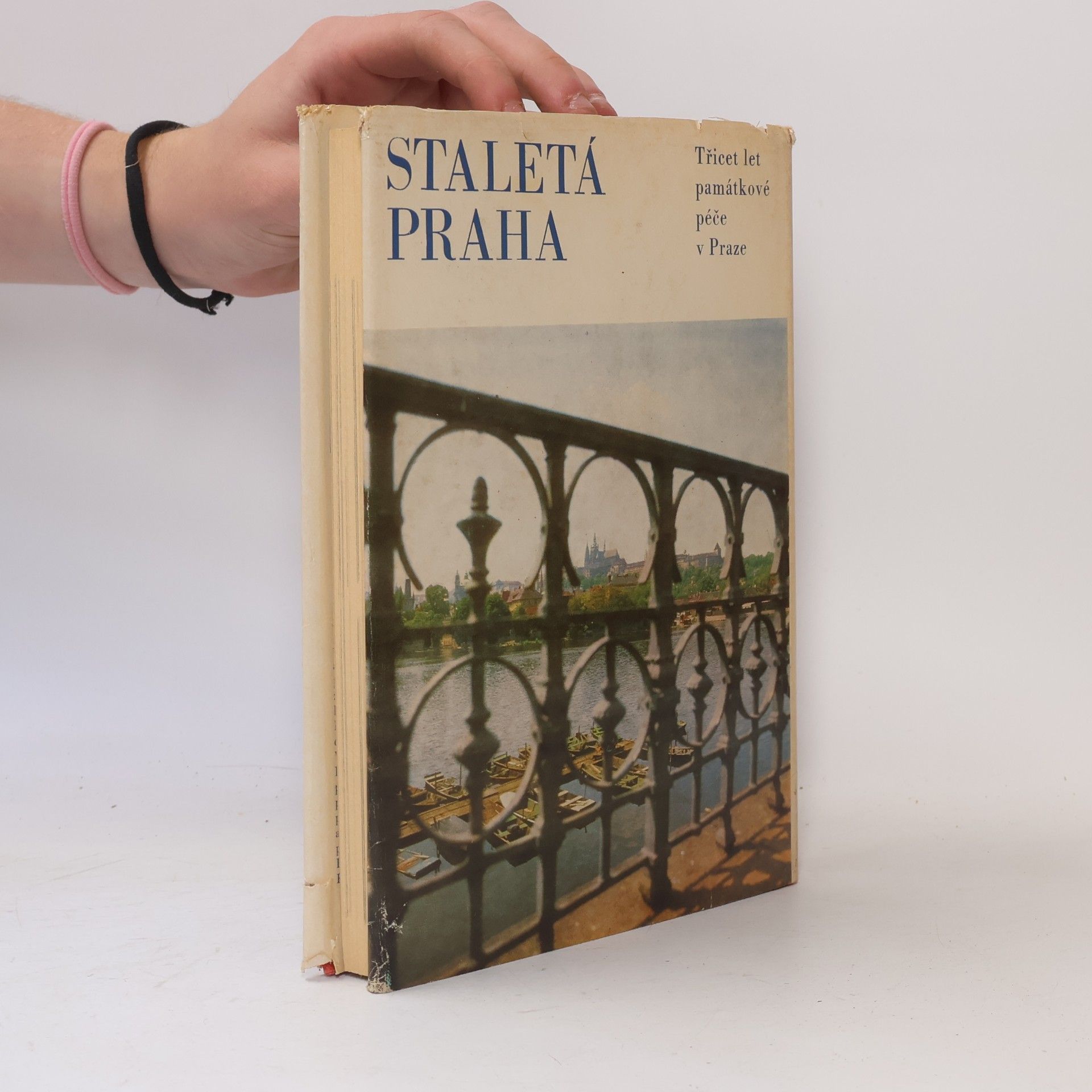 Kolektiv autorů Staletá Praha VIII