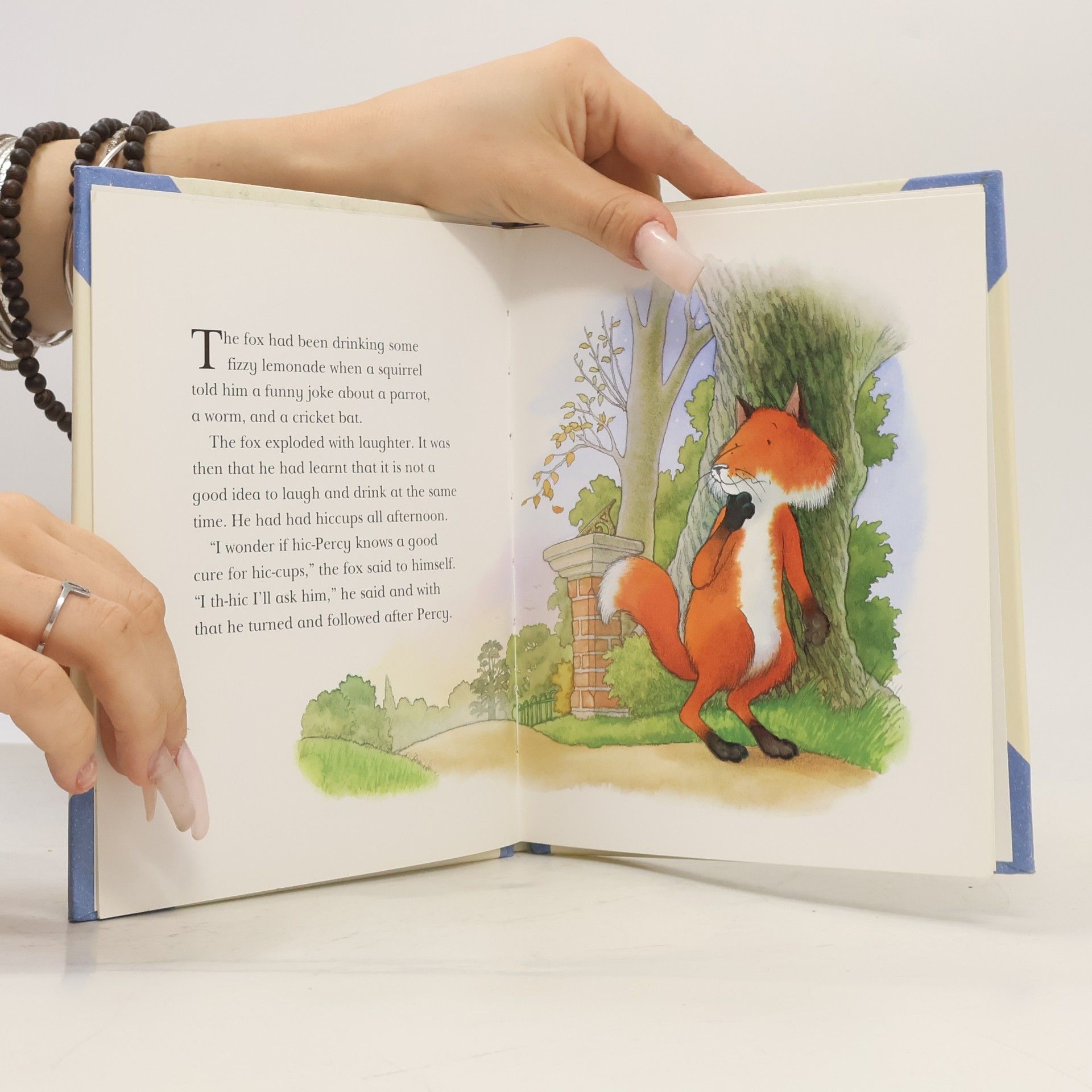 Nick Butterworth The Fox's Hiccups