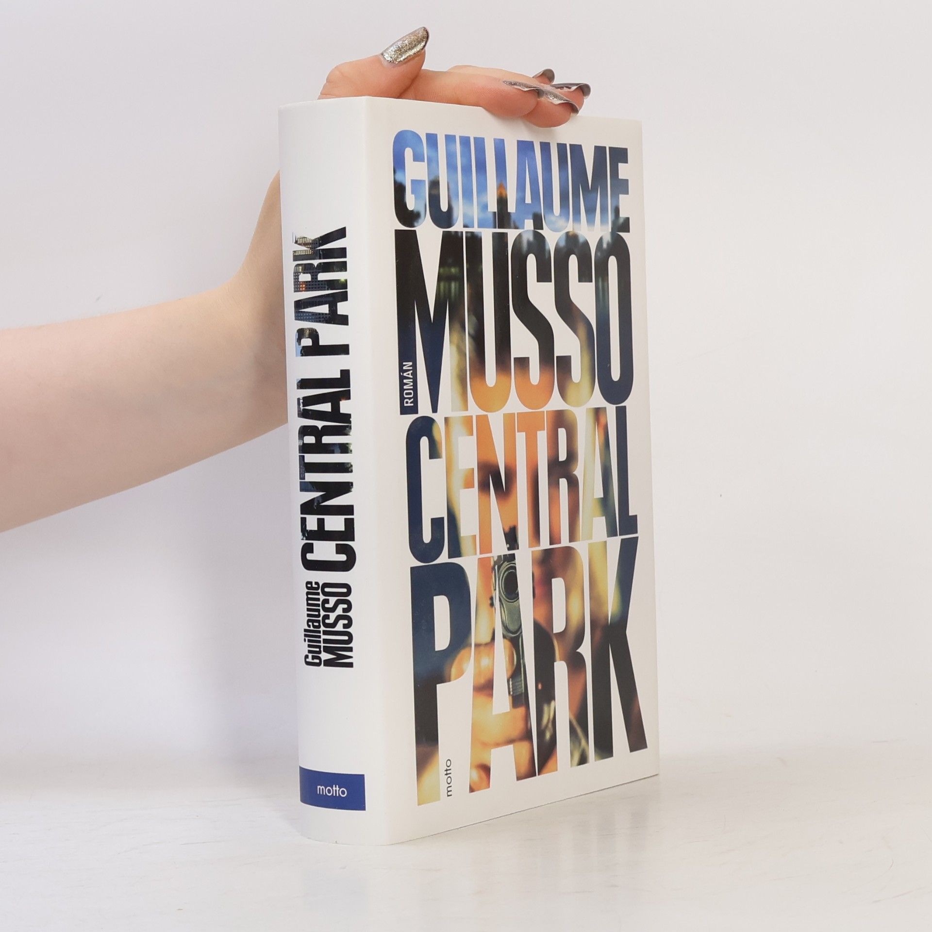 Guillaume Musso Central Park