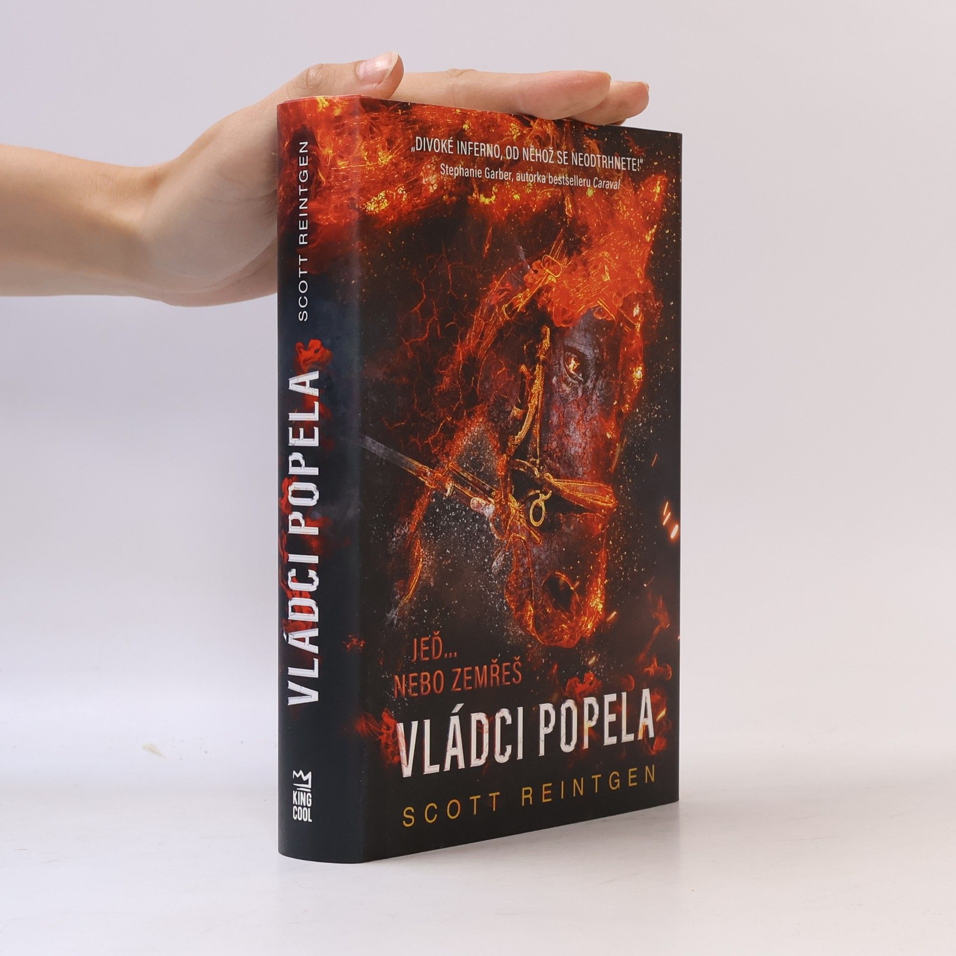 Scott Reintgen Vládci popela