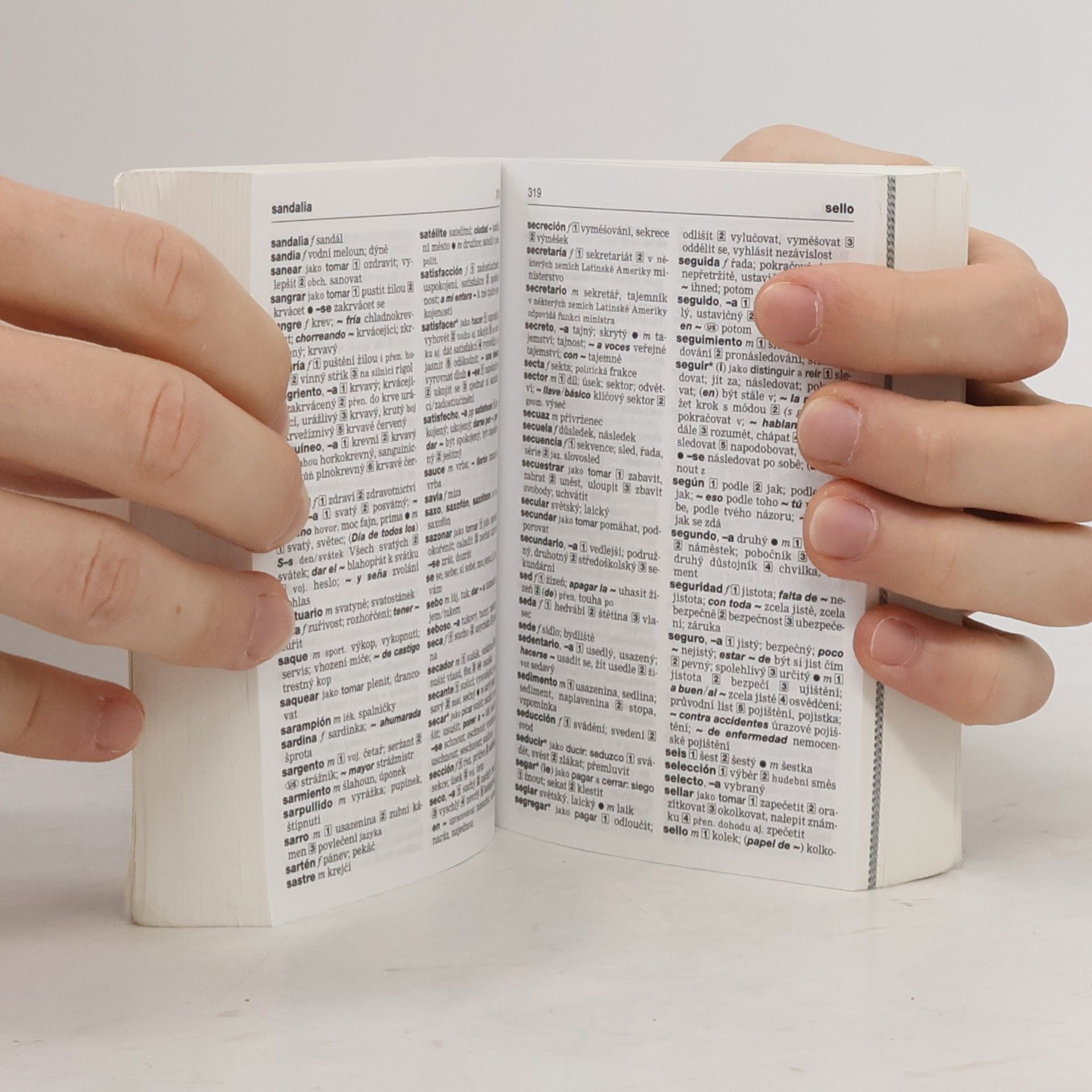 Autores varios Španělsko-český, česko-španělský slovník