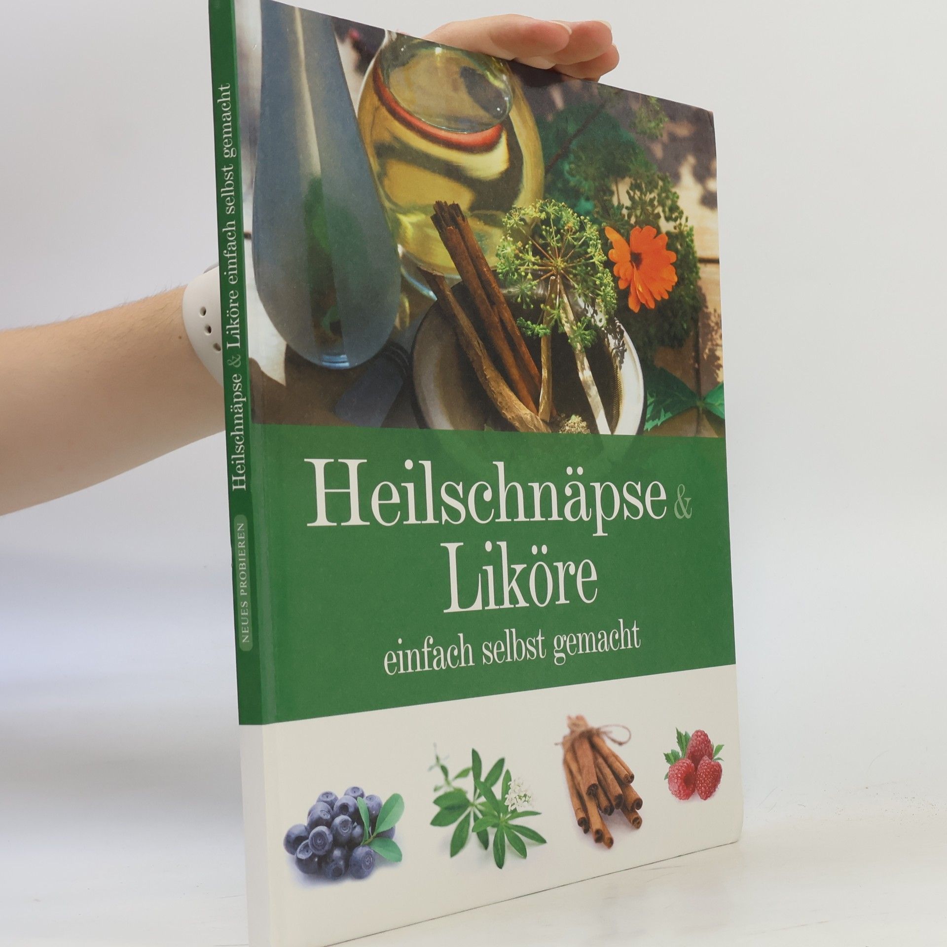 Kolektiv autorů Heilschnäpse & Liköre
