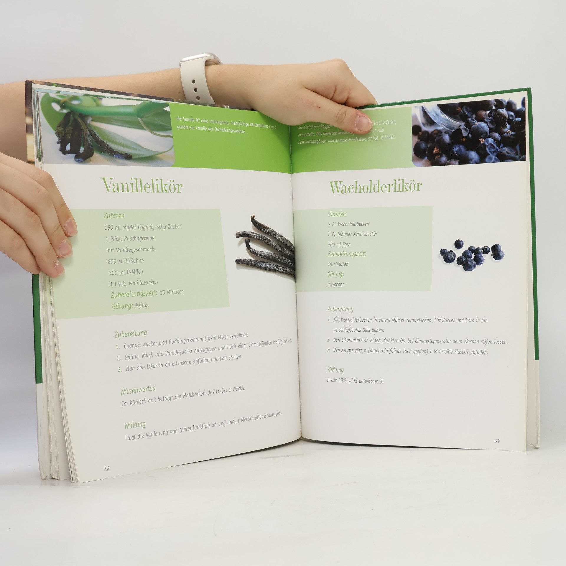 Autorenkollektiv Heilschnäpse & Liköre