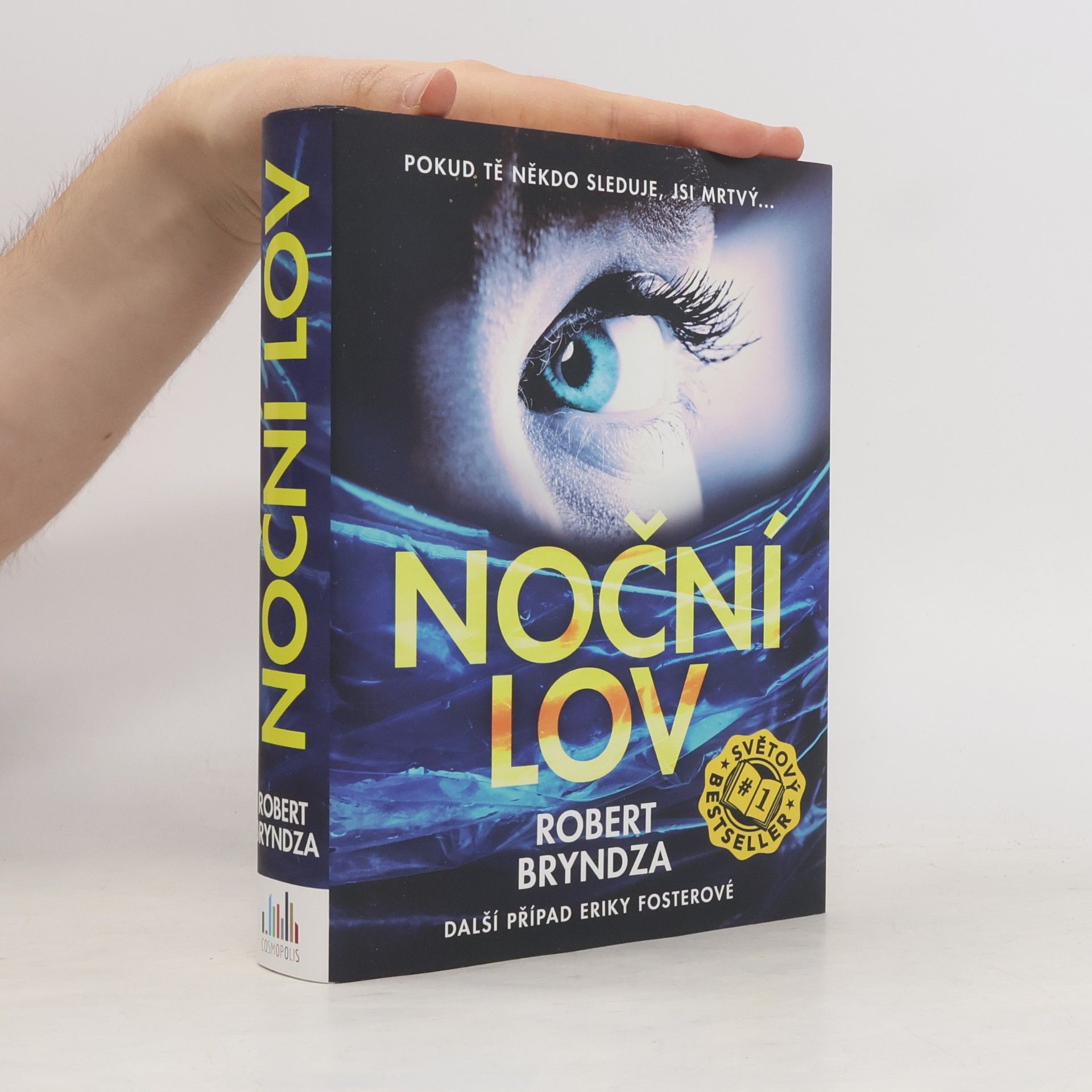 Robert Bryndza Noční lov