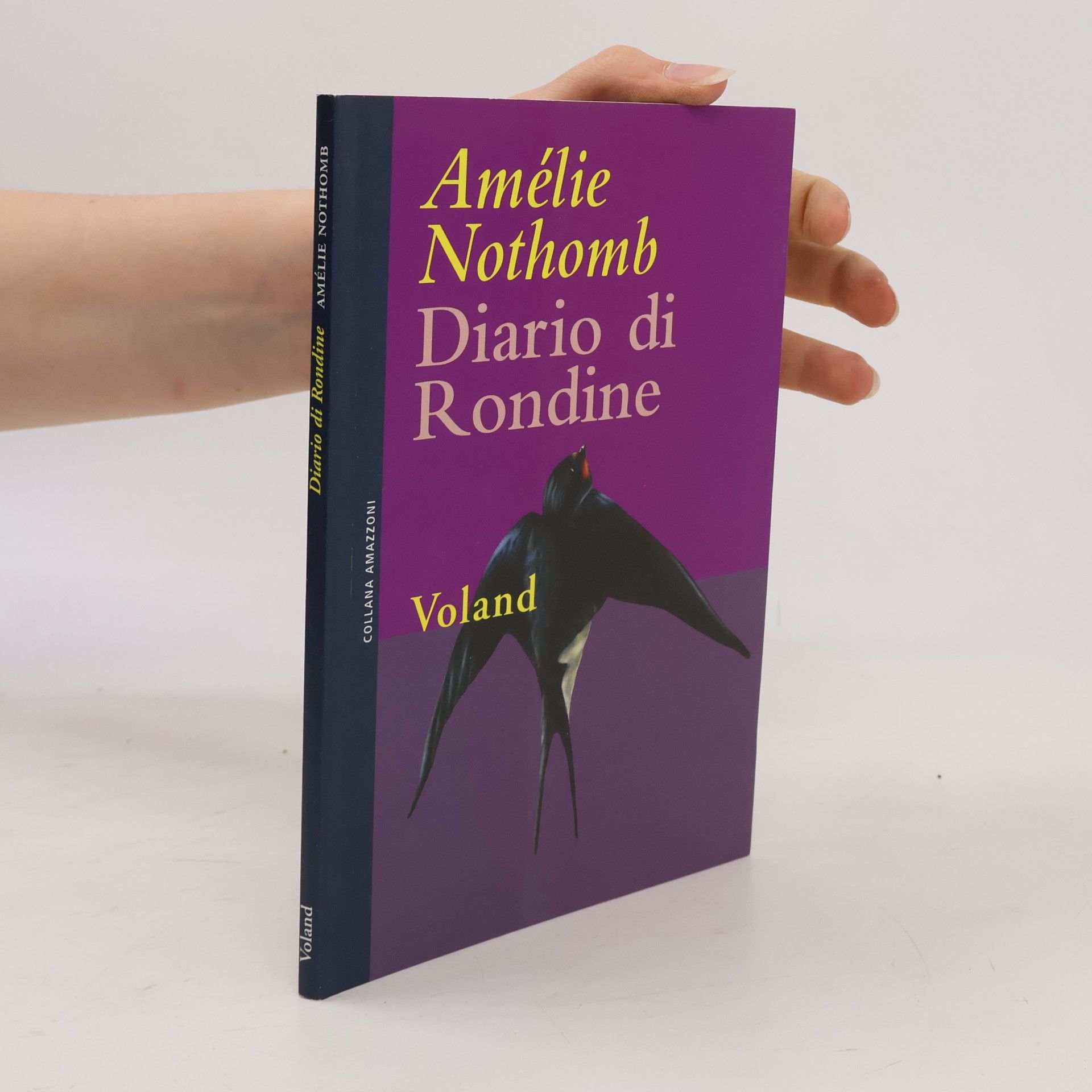 Monica Capuani Diario di rondine