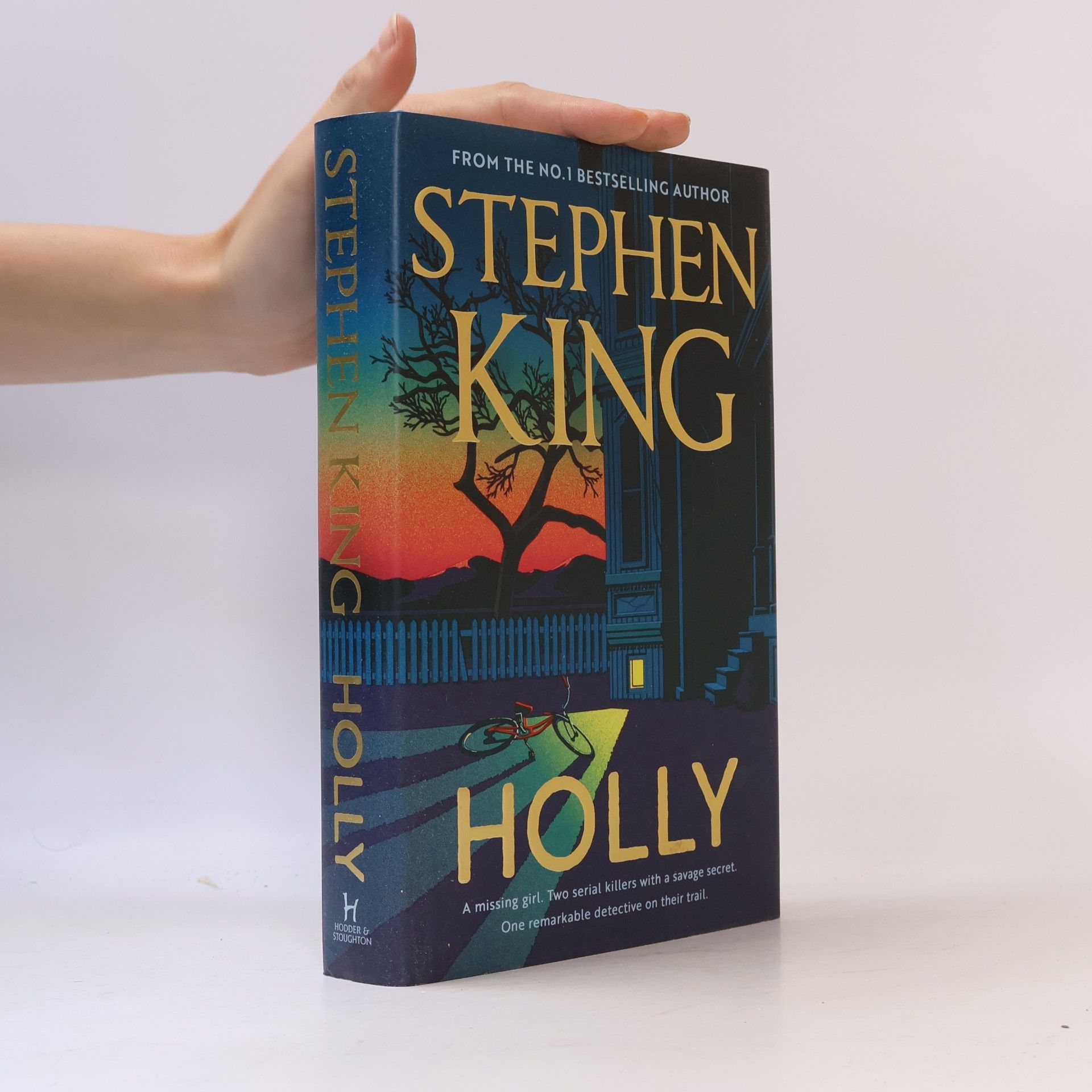 Stephen King Holly