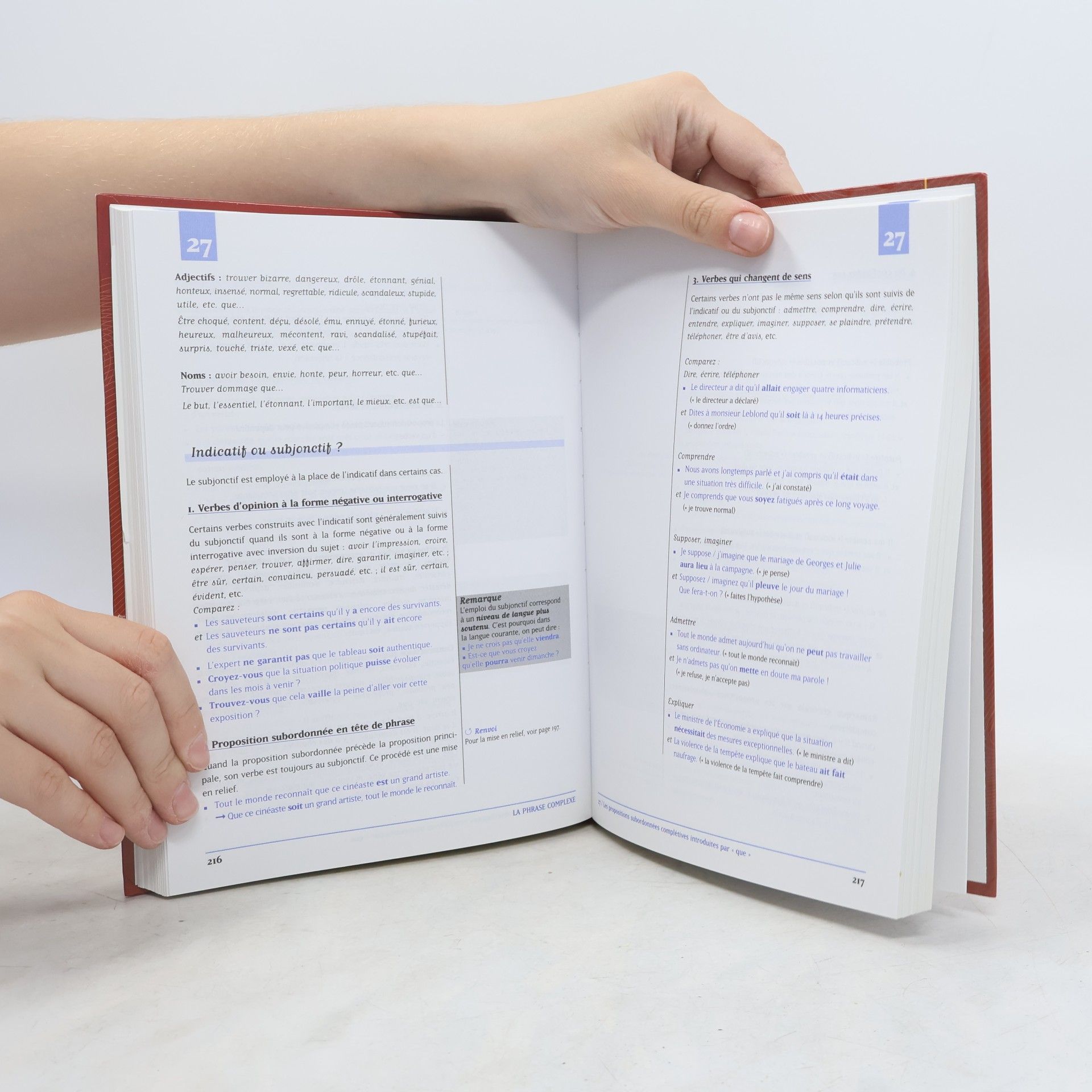 Yvonne Delatour Nouvelle grammaire du français
