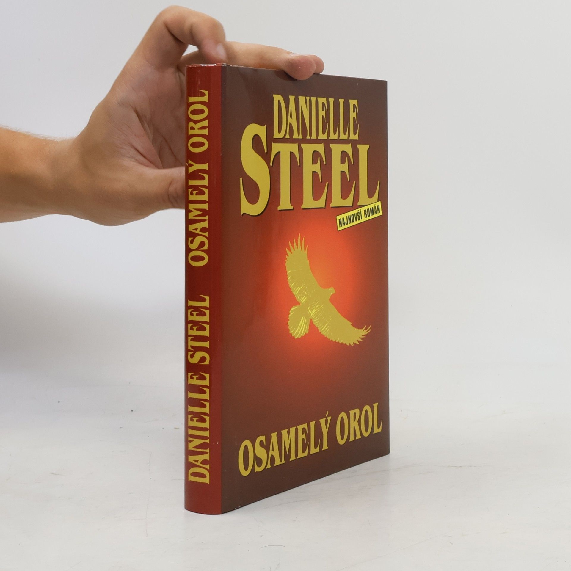 Danielle Steel Osamelý orol