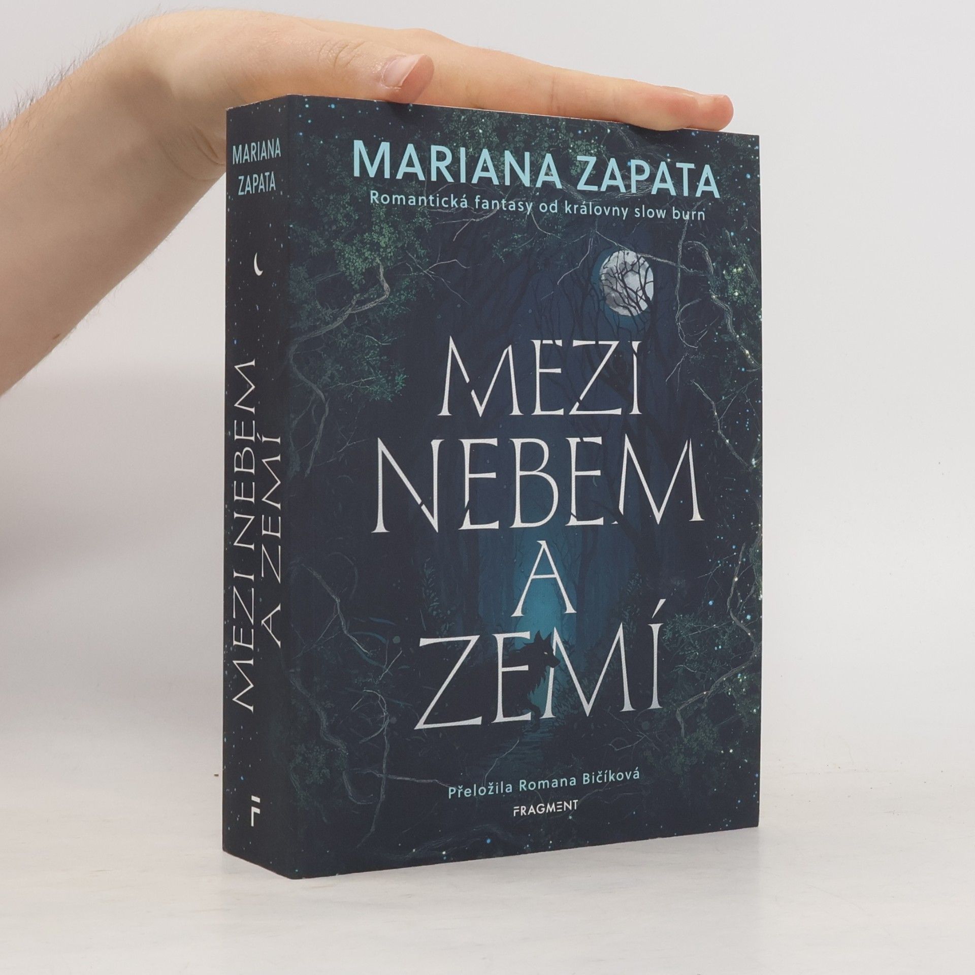 Mariana Zapata Mezi nebem a zemí