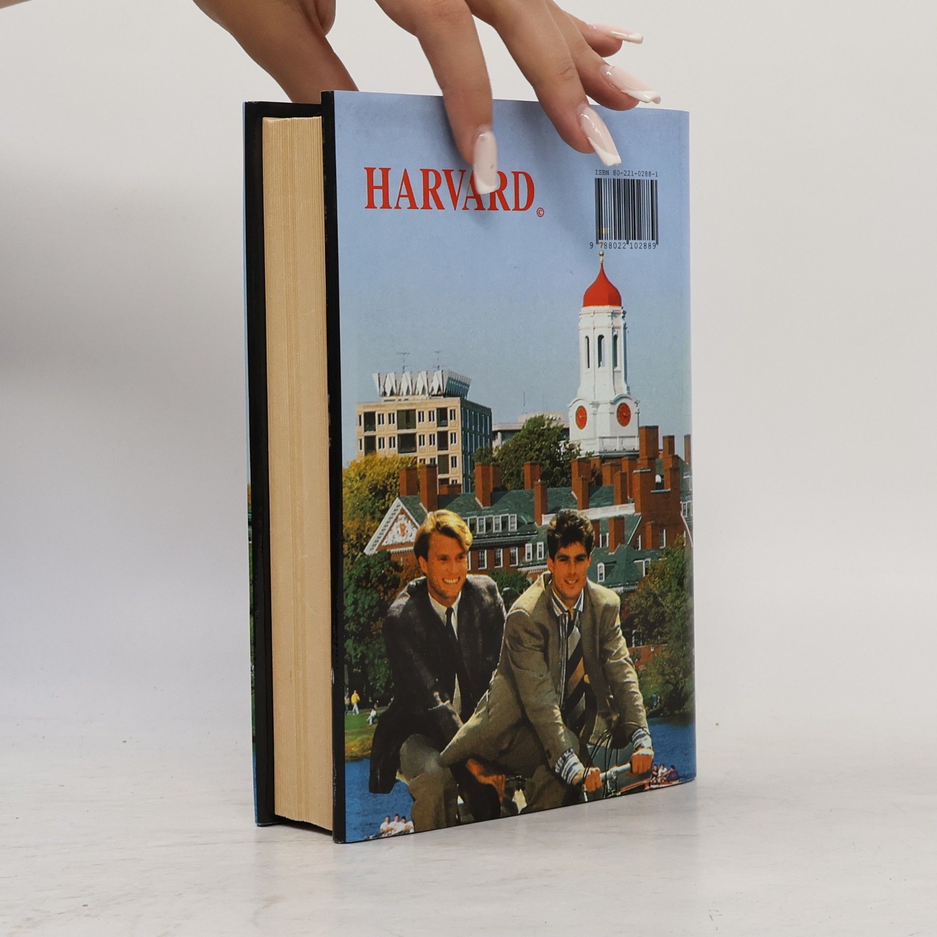 Erich Segal Chlapci z Harvardu