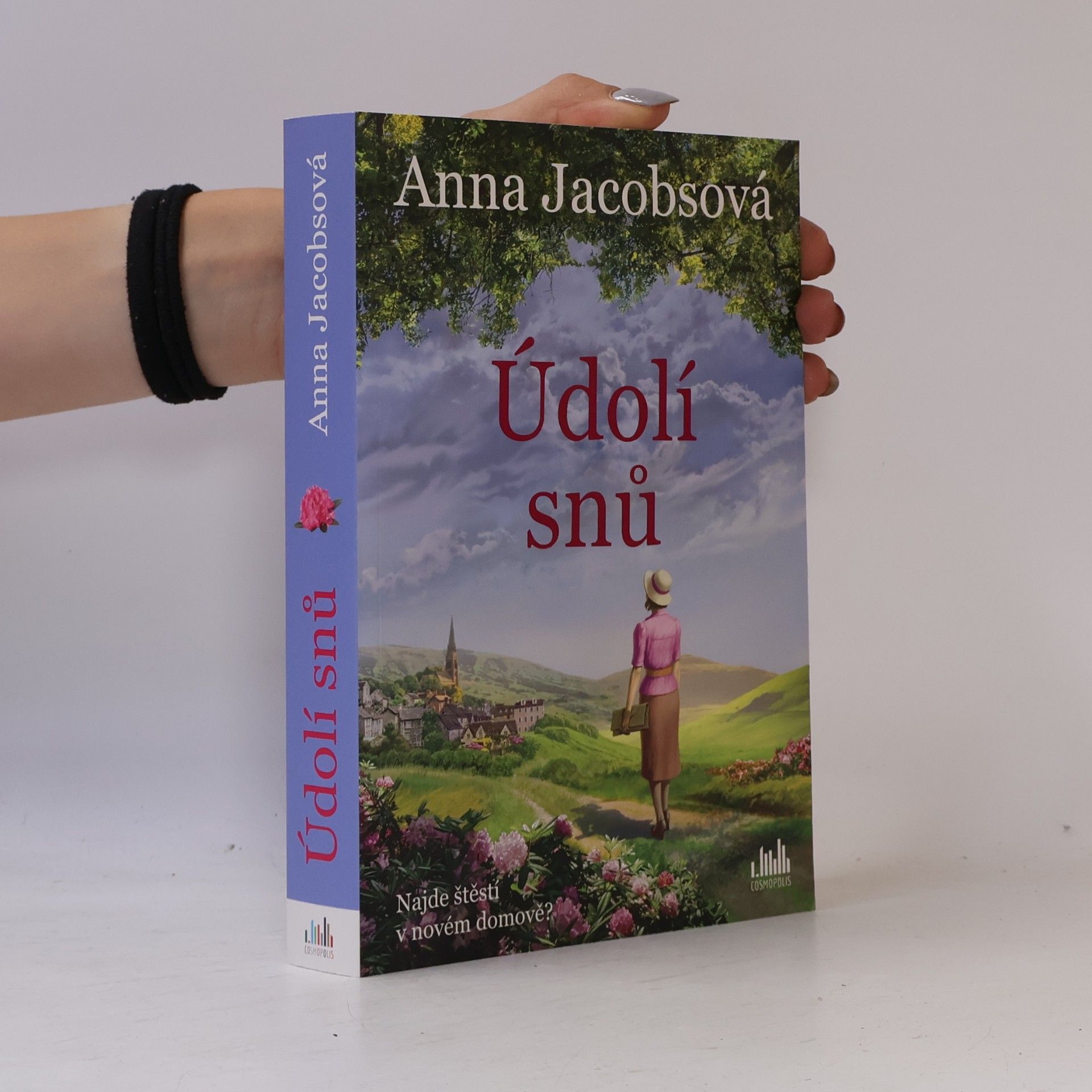 Údolí snů