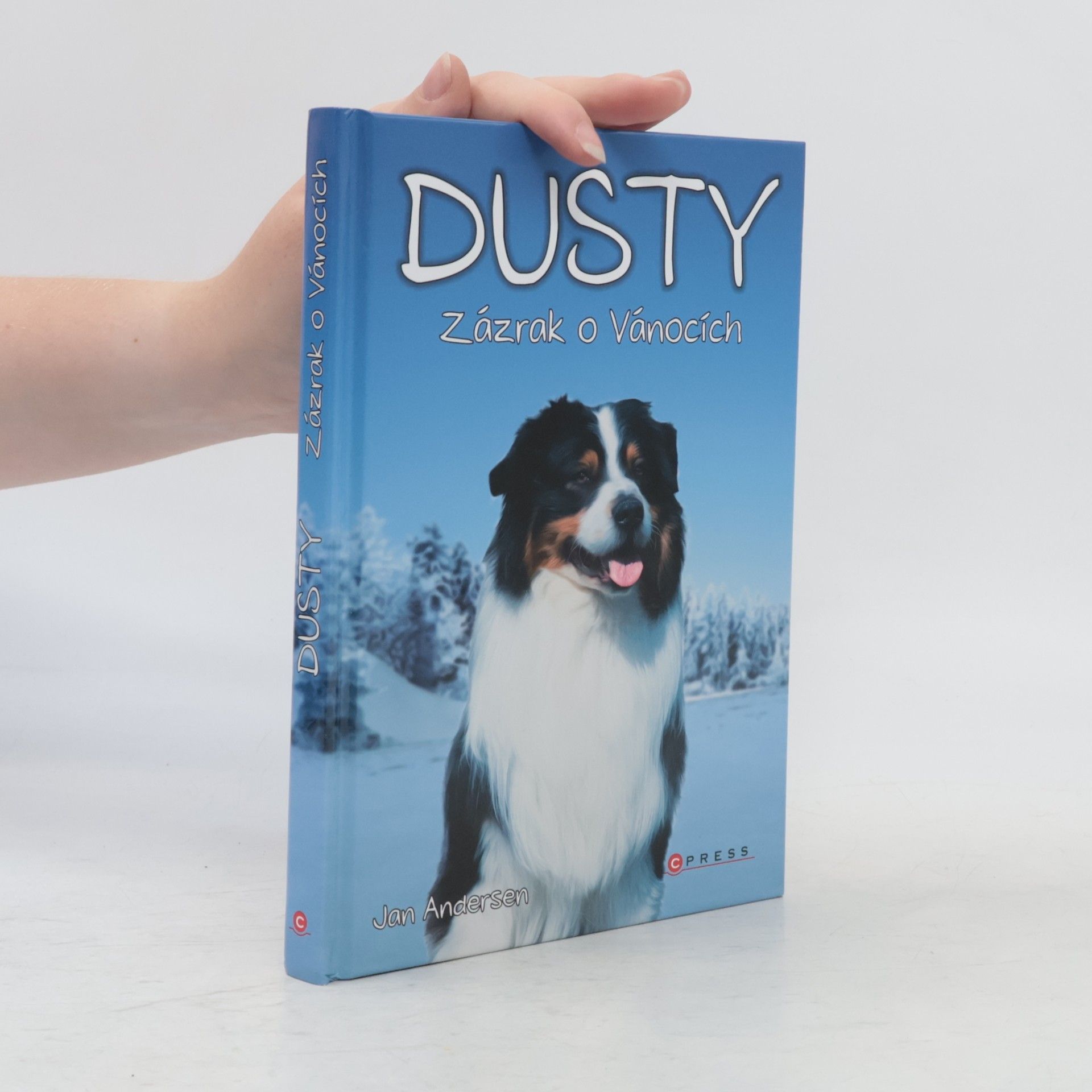 Wolfram Hänel Dusty: Zázrak o Vánocích
