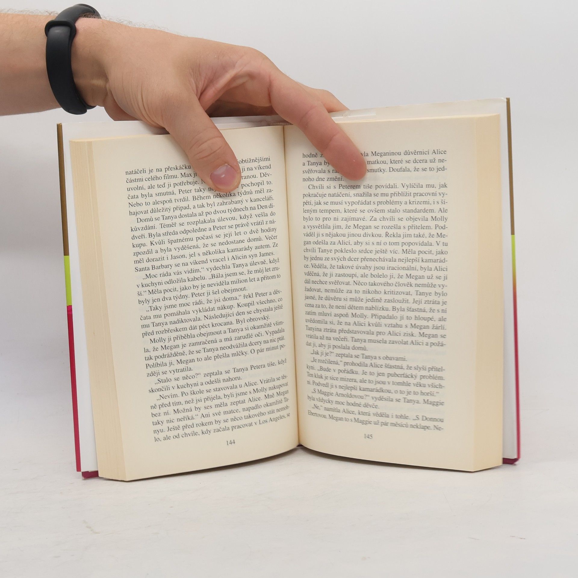 Danielle Steel Bludiště života