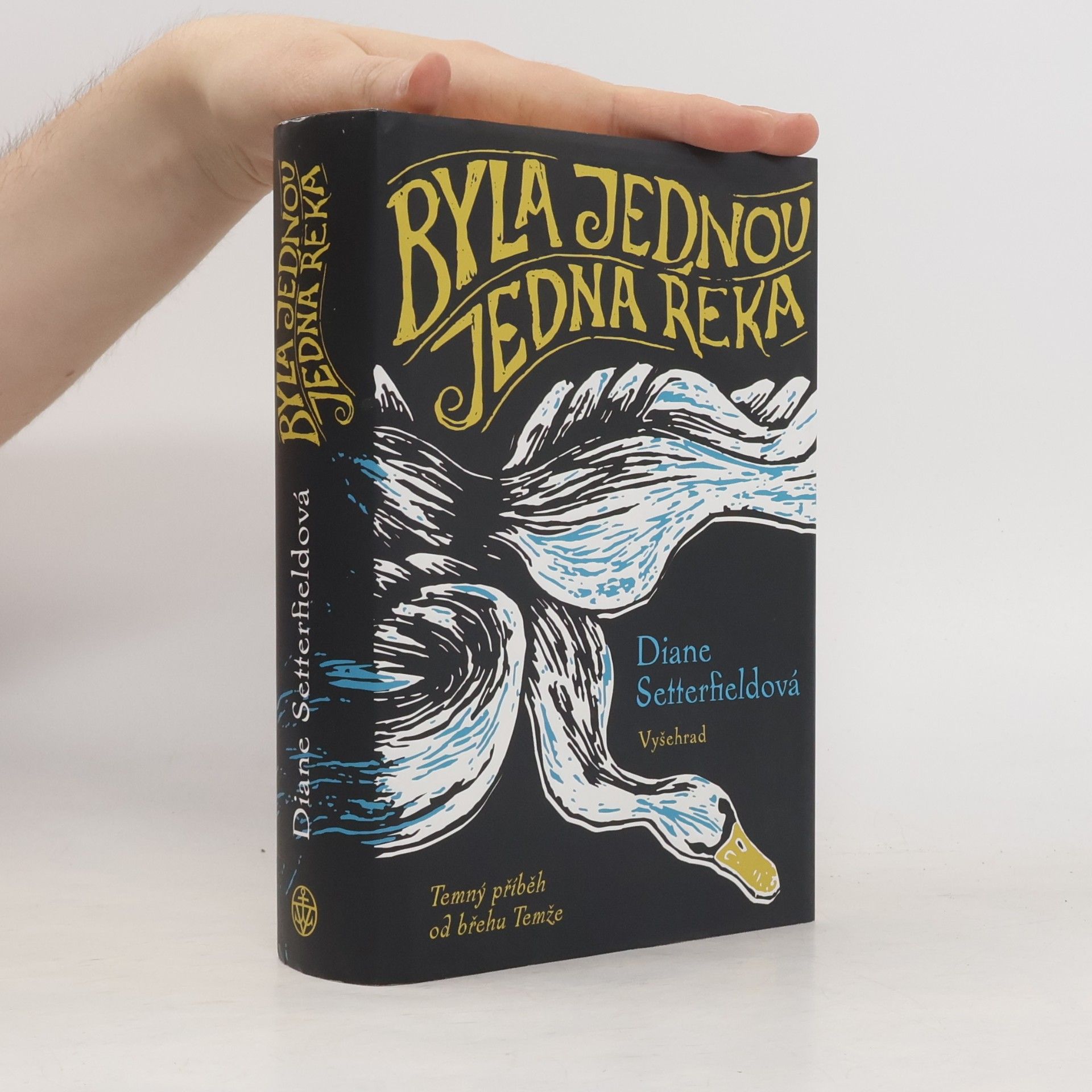 Diane Setterfield Byla jednou jedna řeka