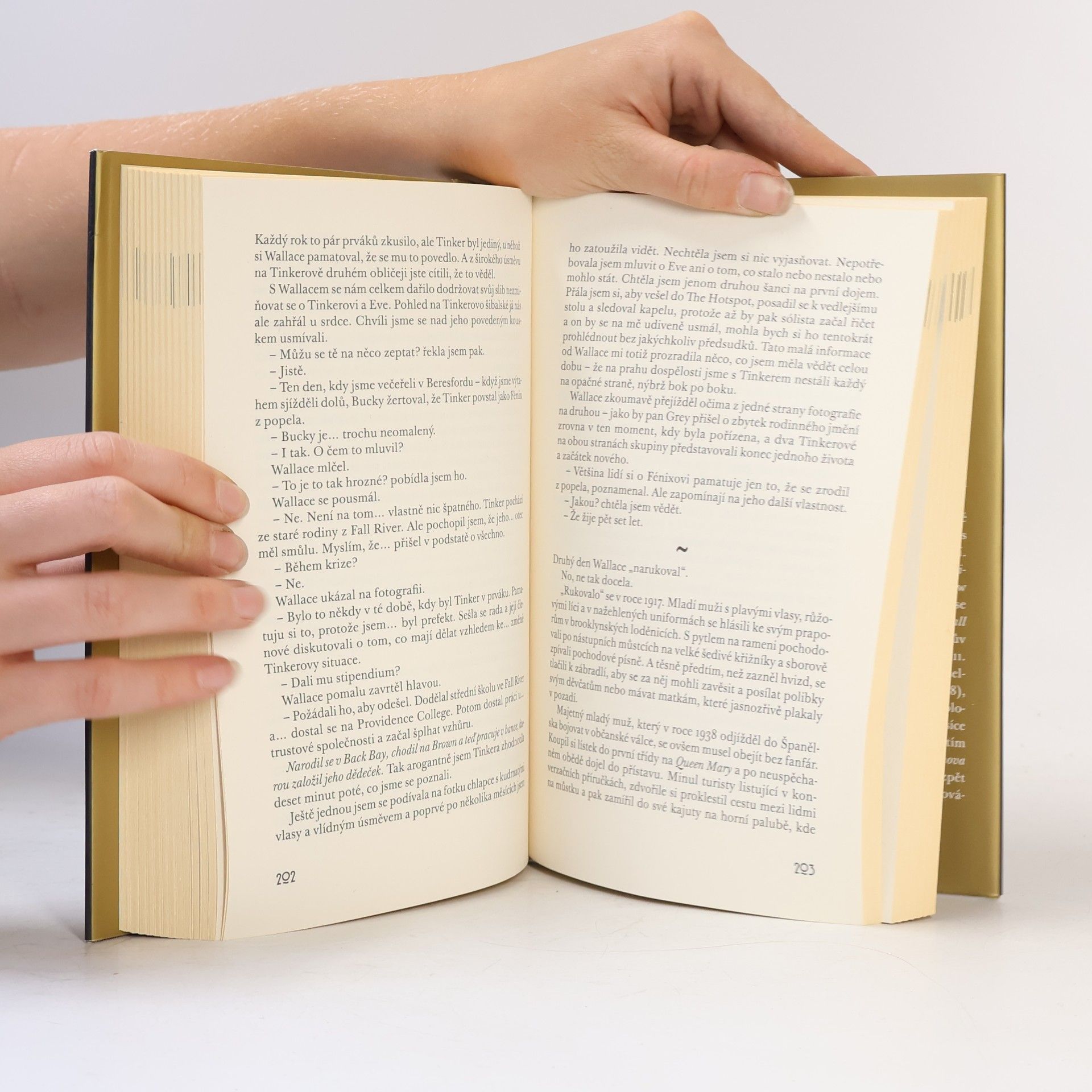 Amor Towles Pravidla zdvořilosti
