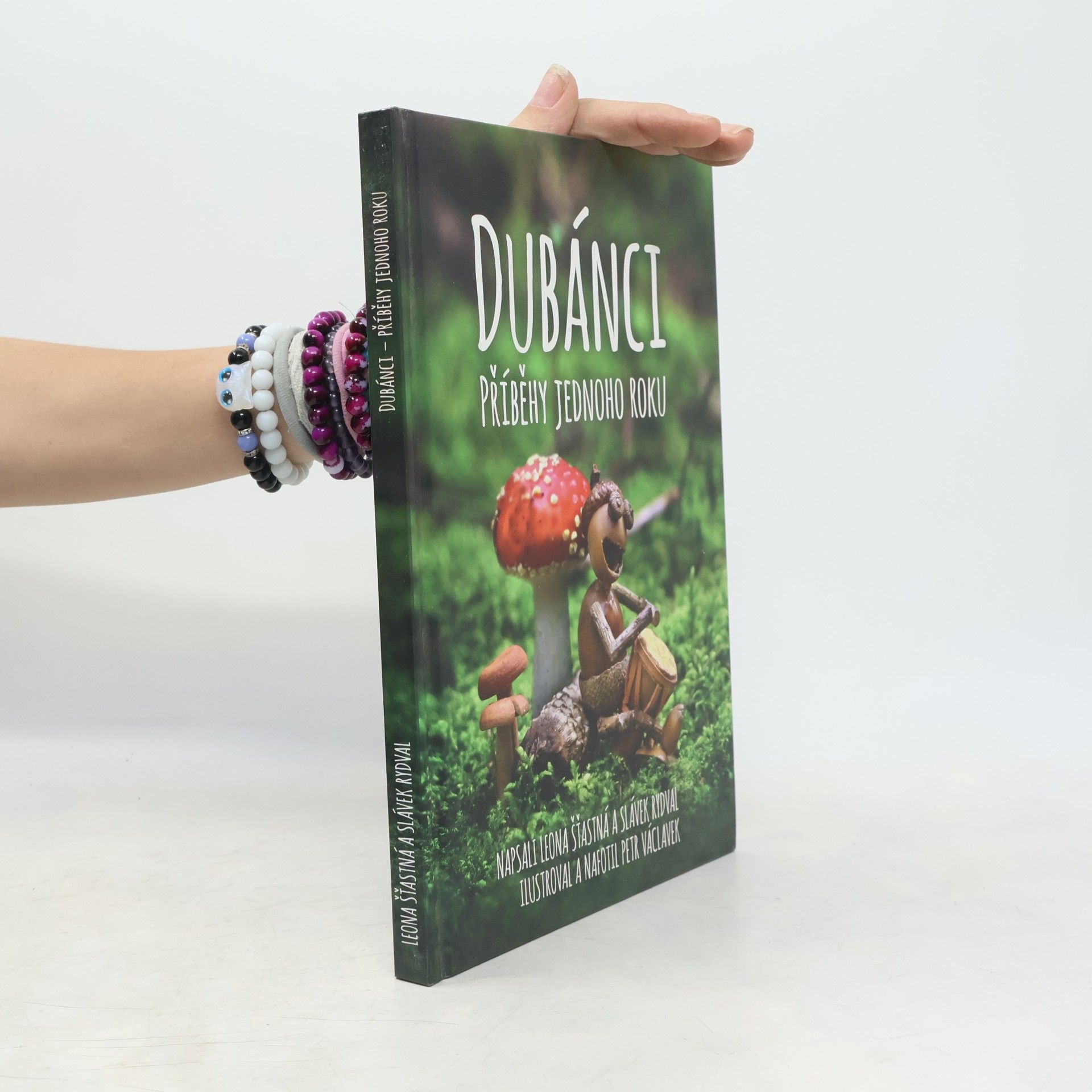 Slávek Rydval Dubánci: Příběhy jednoho roku