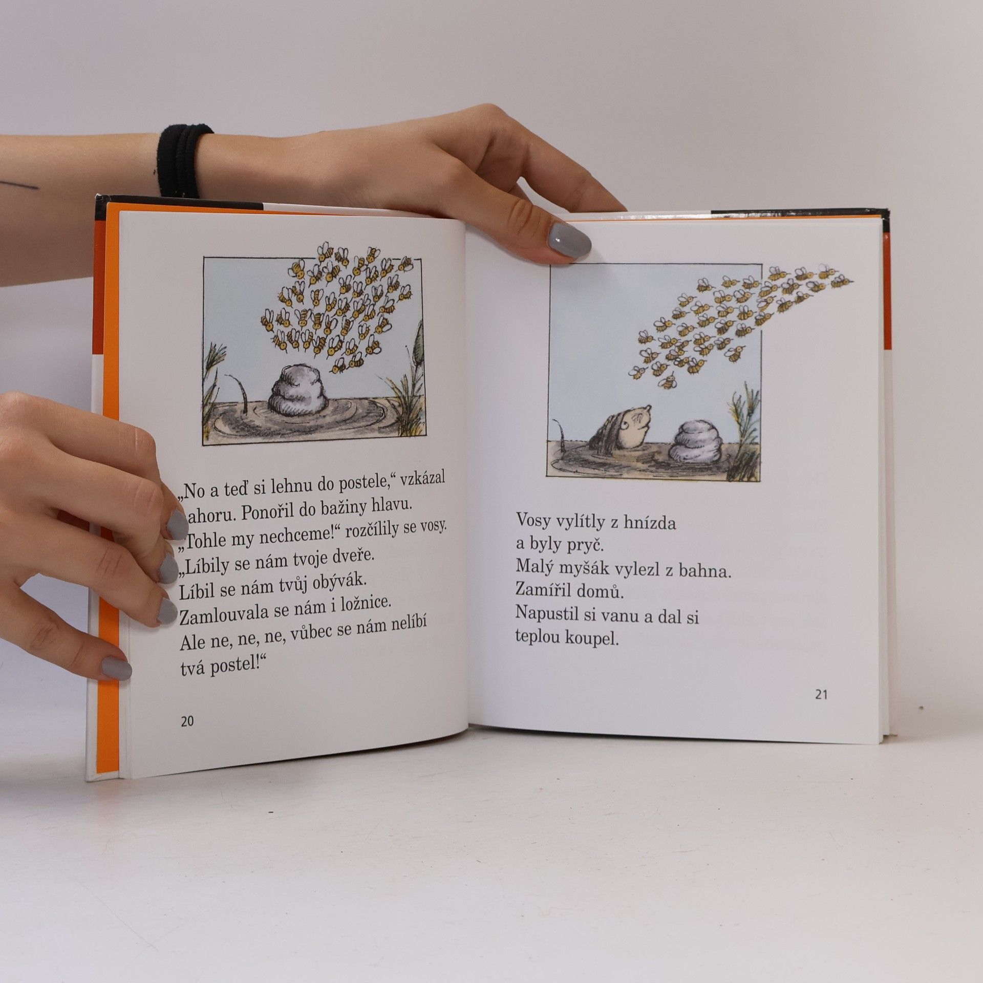 Arnold Lobel Myška a pohádková polívka