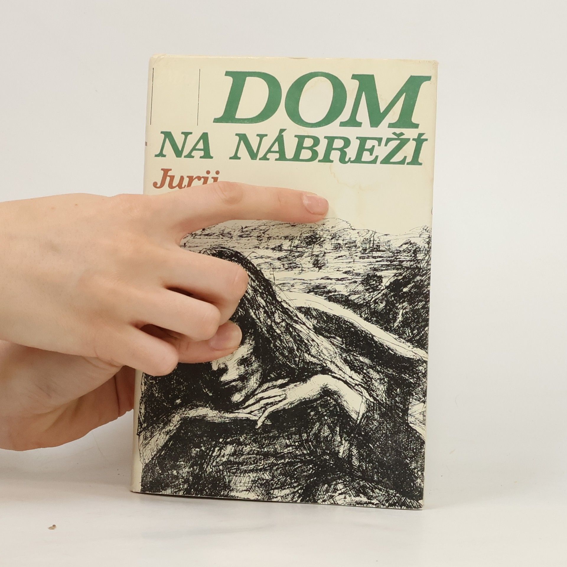 Jurij Trifonow Dom na nábreží
