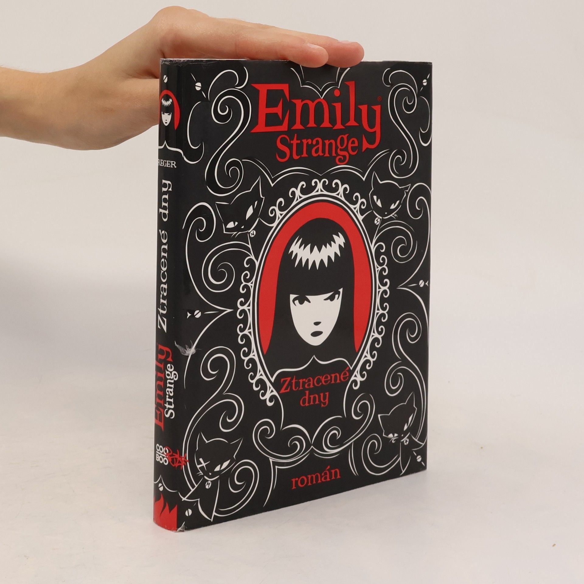 Robert Reger Emily Strange. Ztracené dny