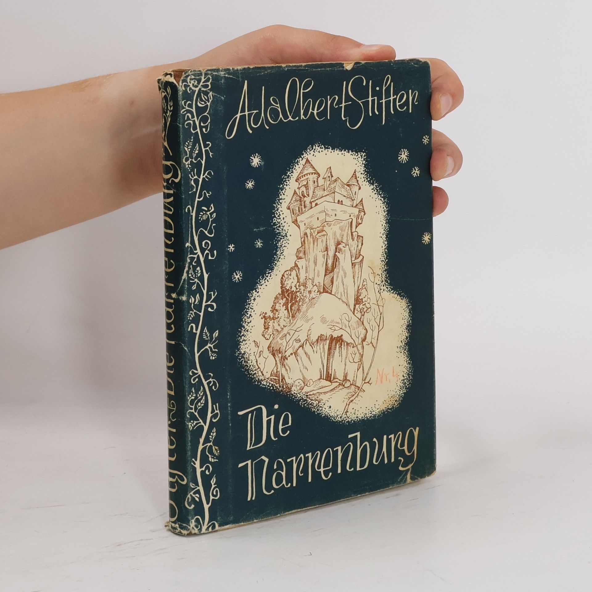 Adalbert Stifter Die Narrenburg