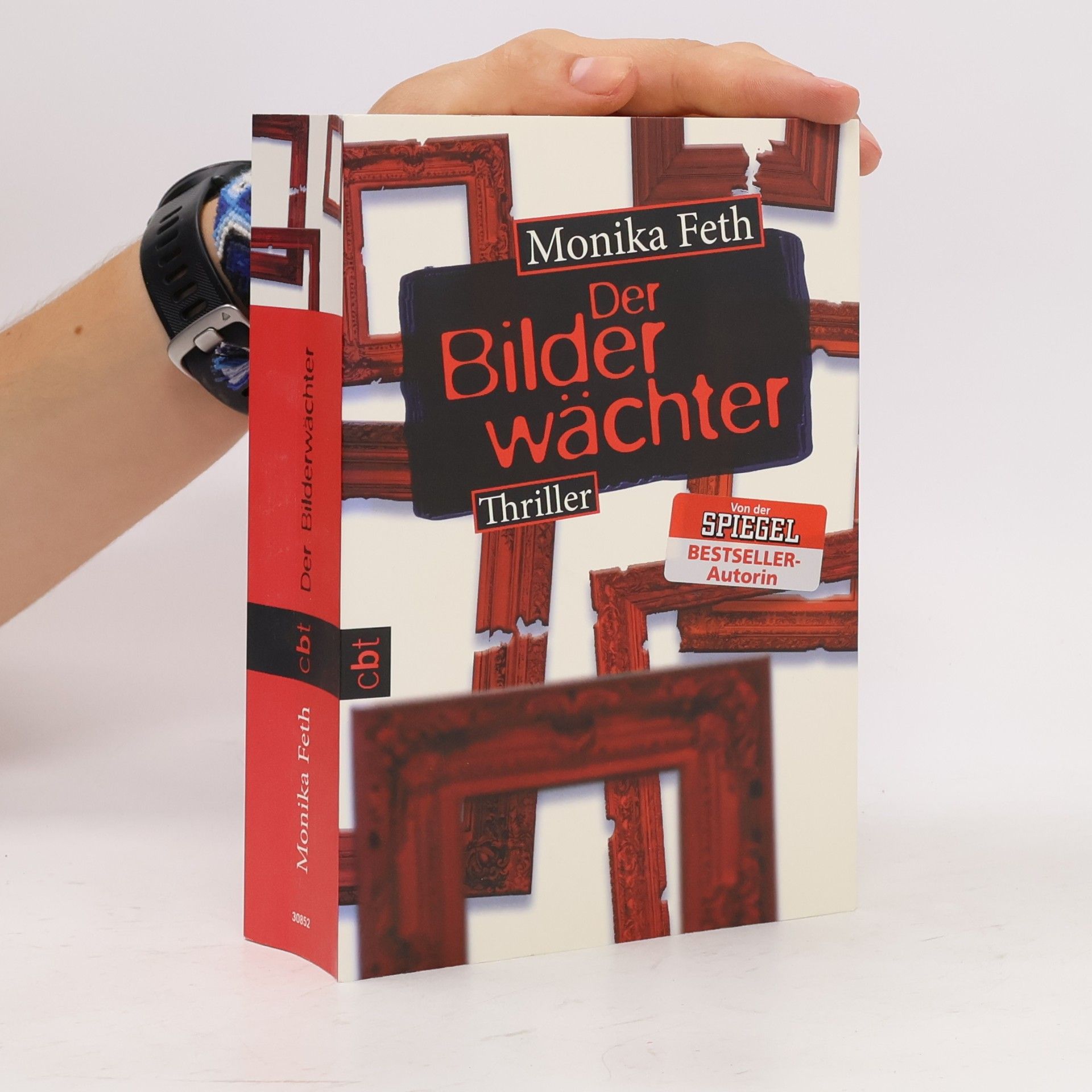 Monika Feth Der Bilderwächter