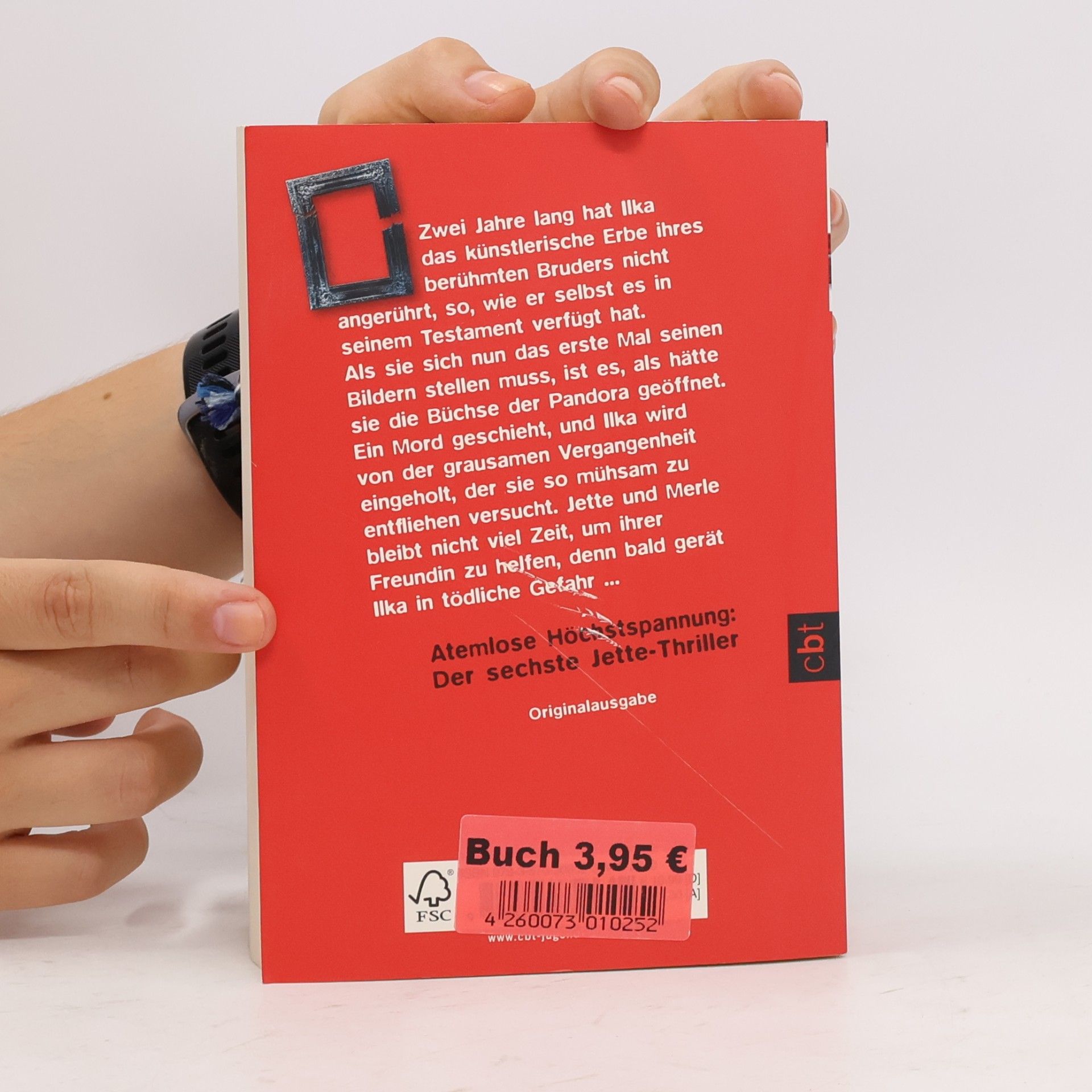 Monika Feth Der Bilderwächter