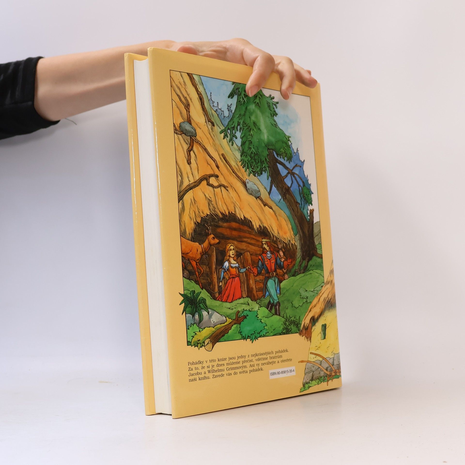 Jacob Grimm Pohádky bratří Grimmů