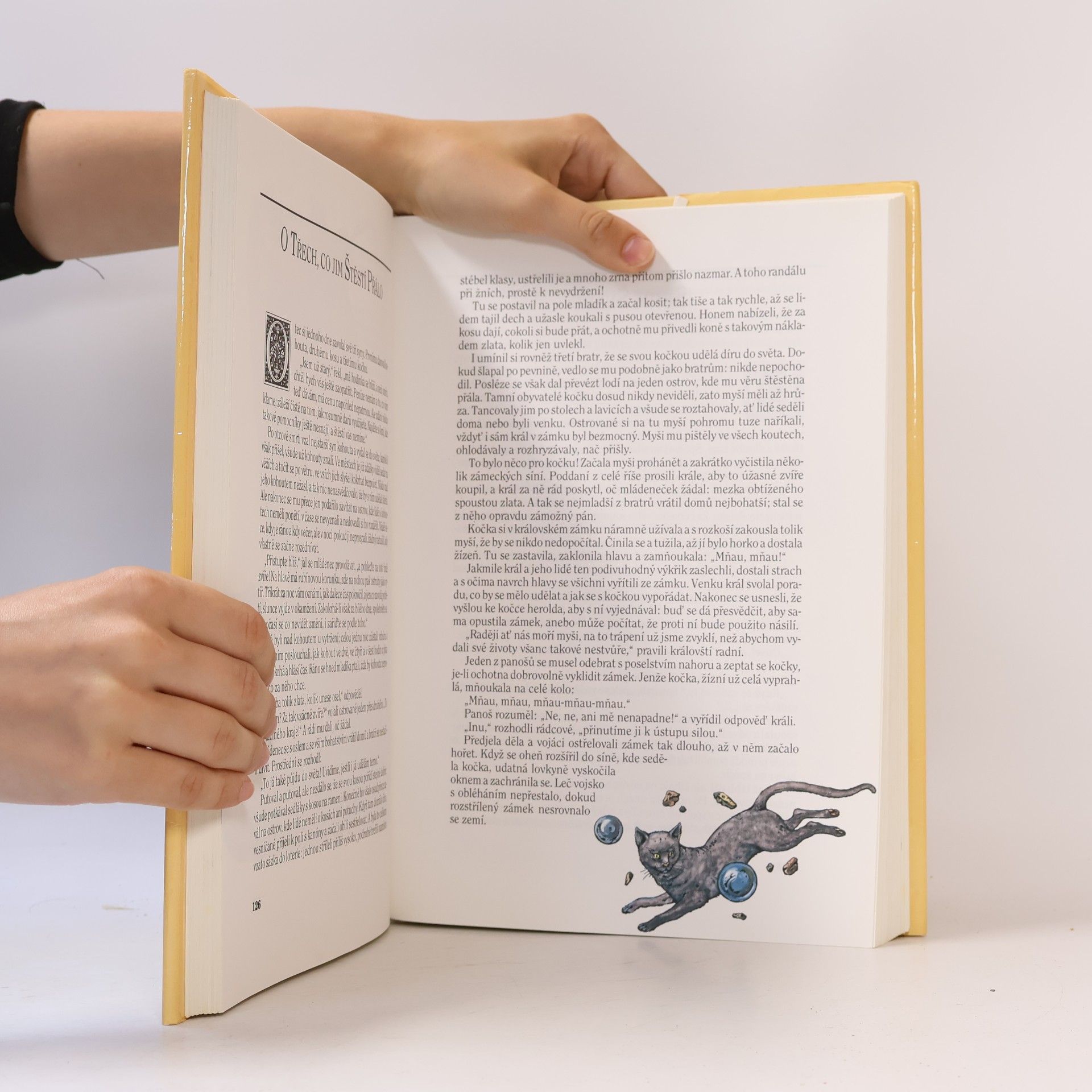 Jacob Grimm Pohádky bratří Grimmů