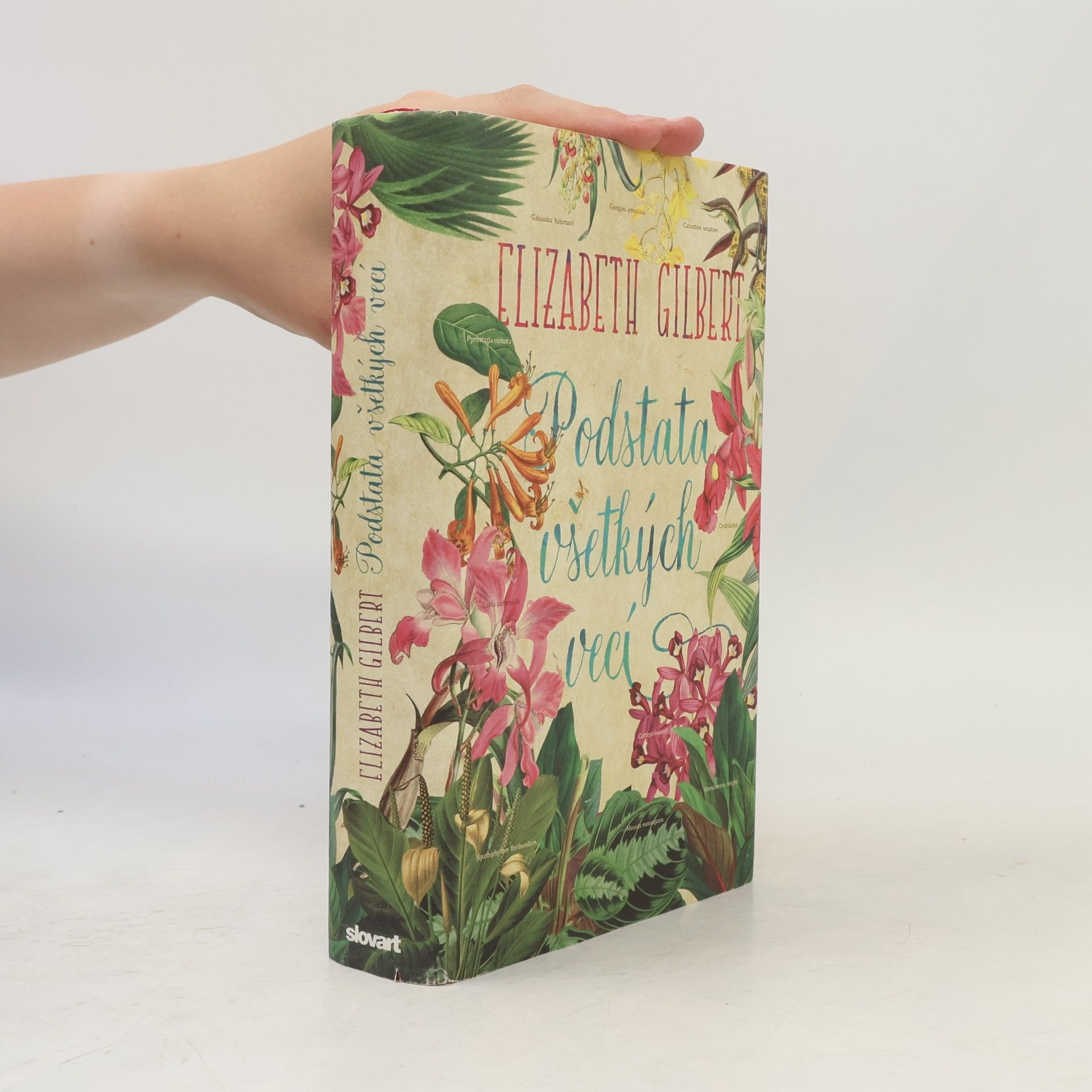 Elizabeth Gilbert Podstata všetkých vecí