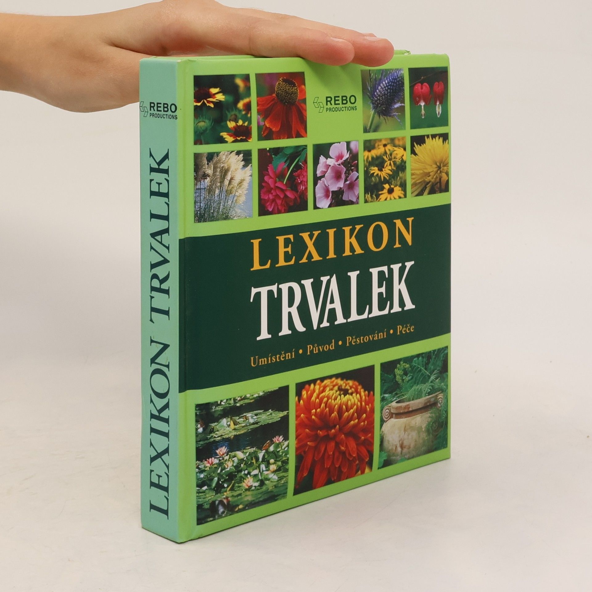 Andrea Rausch Lexikon trvalek : umístění, původ, pěstování, péče