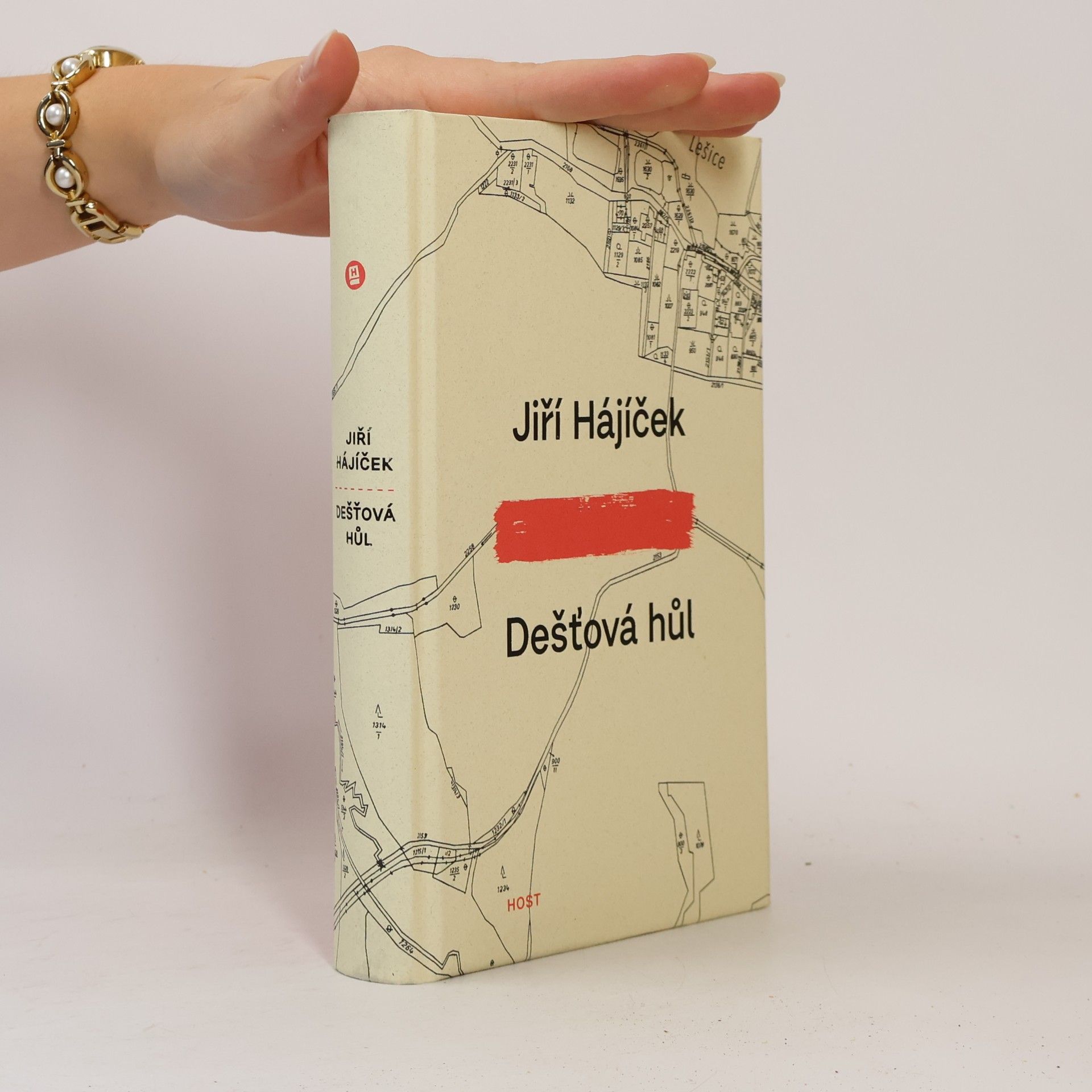 Jiří Hájíček Dešťová hůl