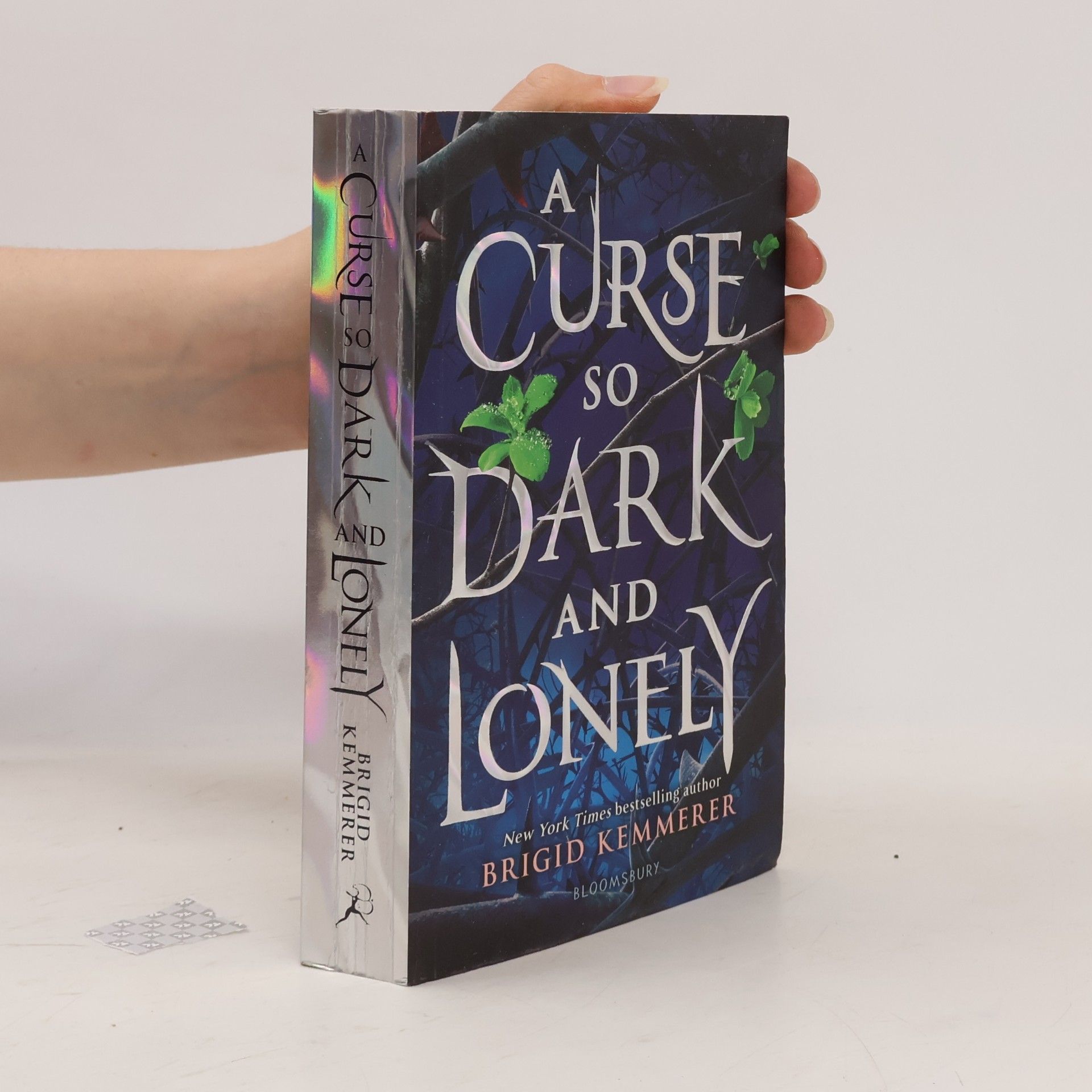 Brigid Kemmerer A curse so dark and lonely (1. díl série)