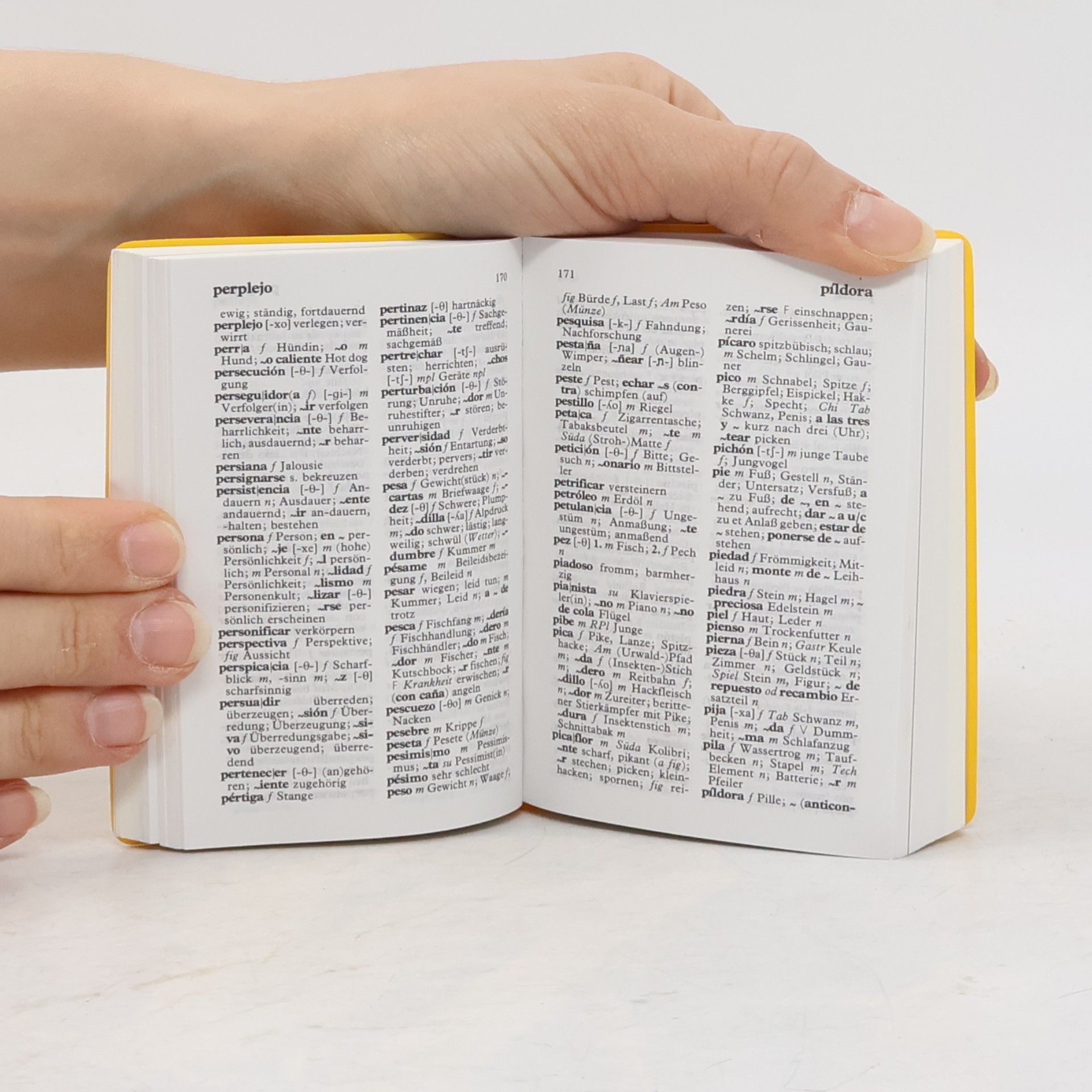 Kolektiv autorů Langenscheidt Universal-Wörterbuch Spanisch