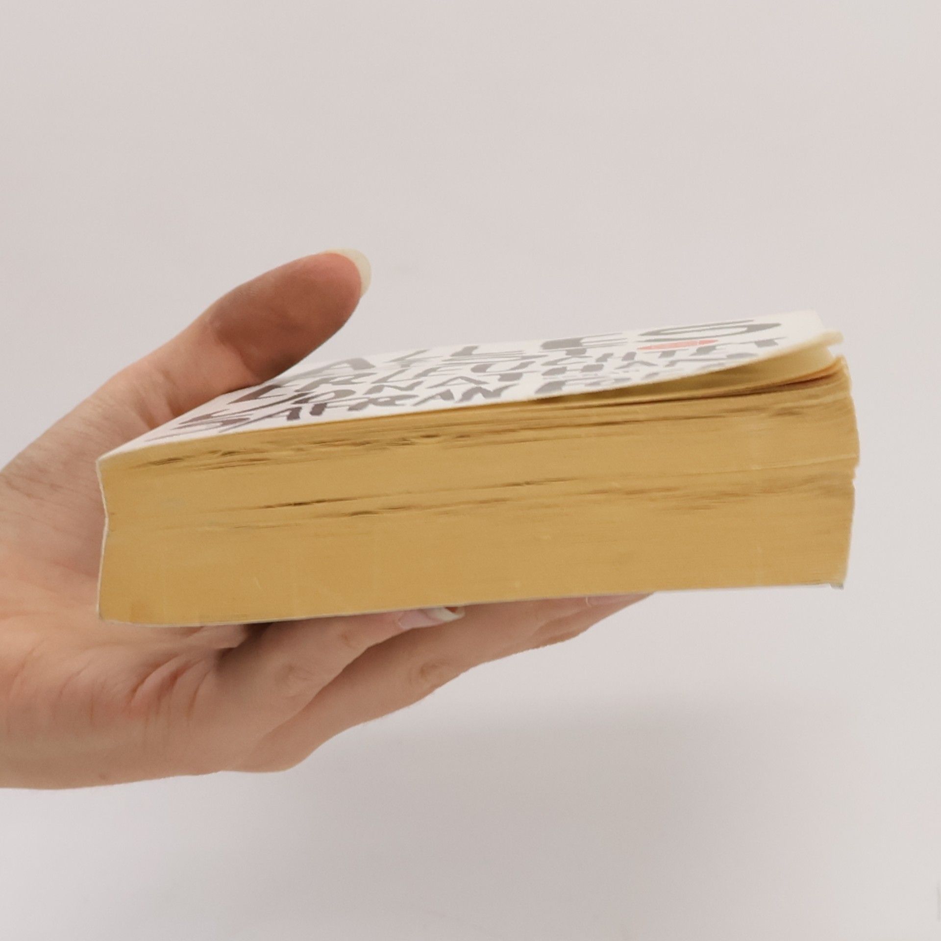 Jonathan Safran Foer Alles ist erleuchtet