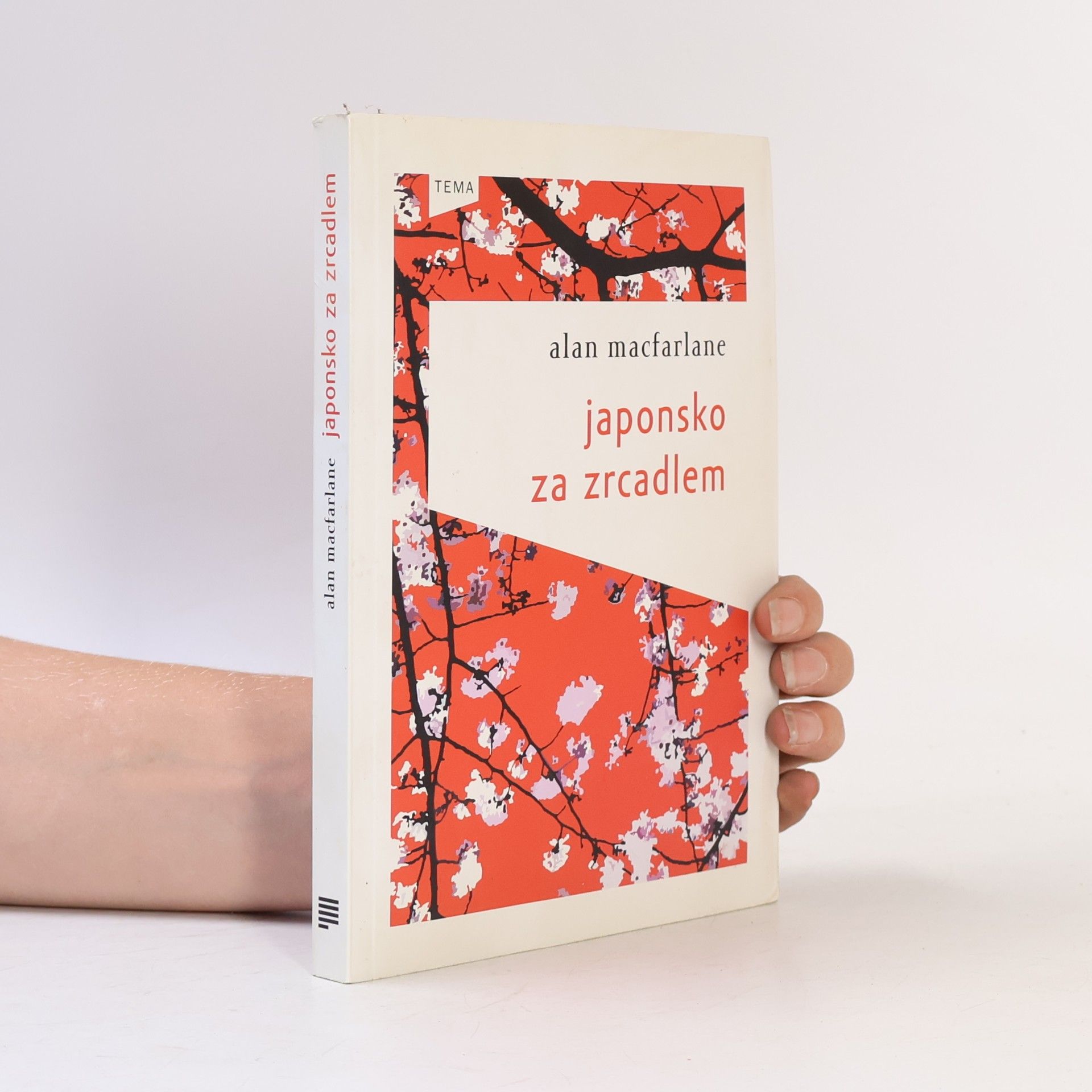 Alan Macfarlane Japonsko za zrcadlem