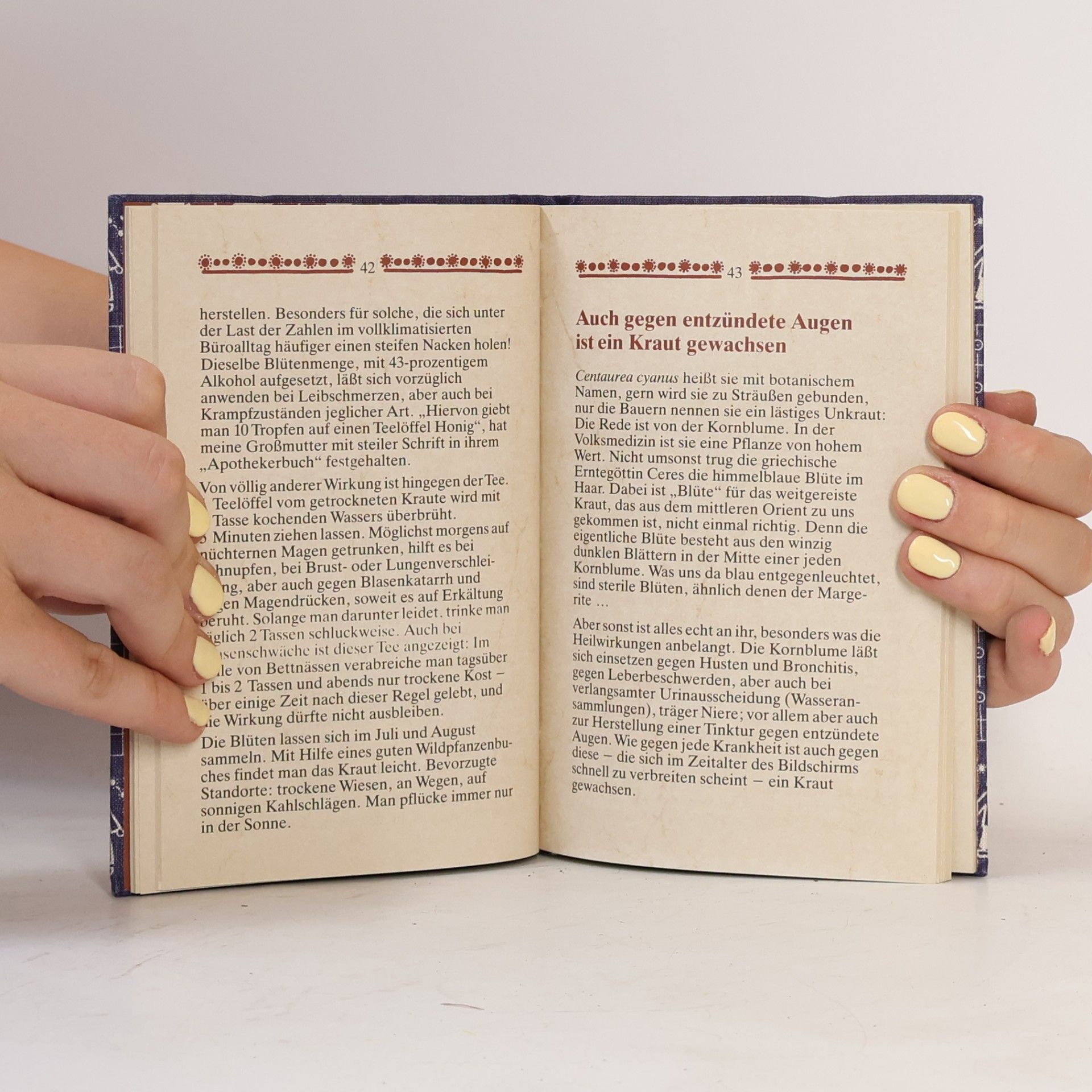 Erich Haye Das kleine Buch der Heilkräuter