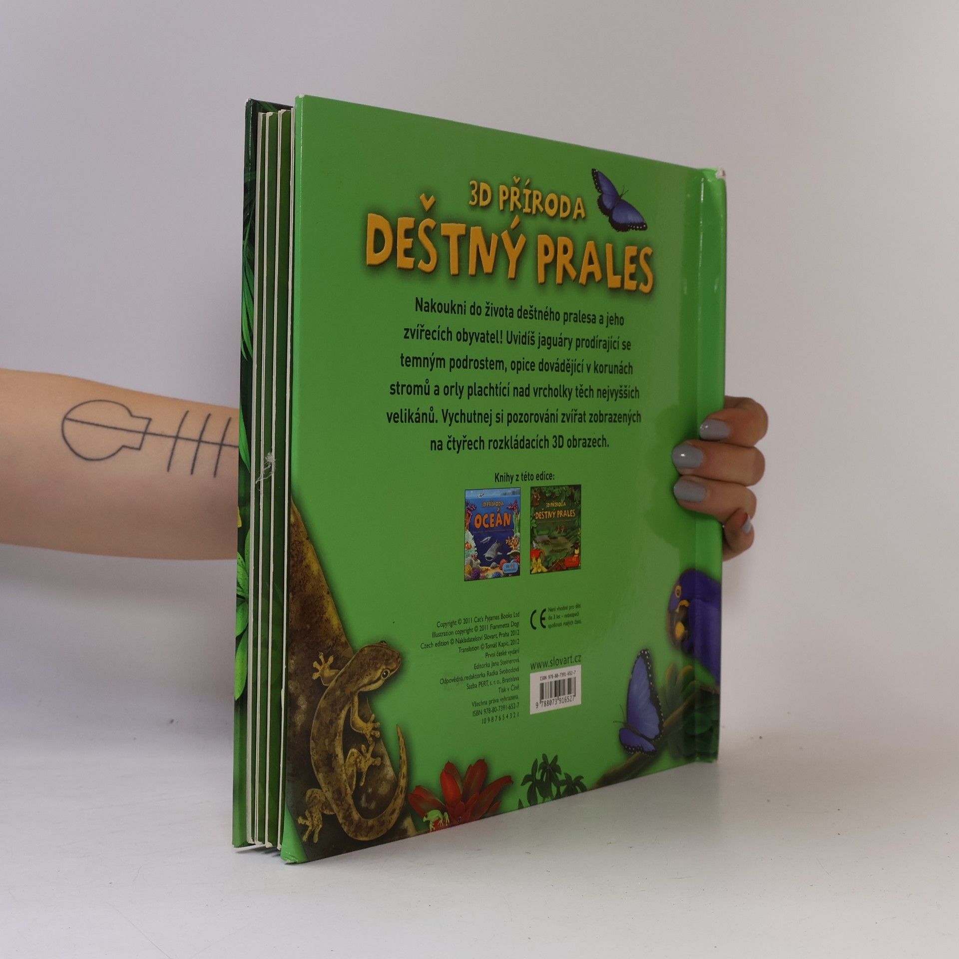 Fiammetta Dogi Deštný prales : hledej zvířata v prostorových obrazech deštného pralesa (pop-up leporelo)
