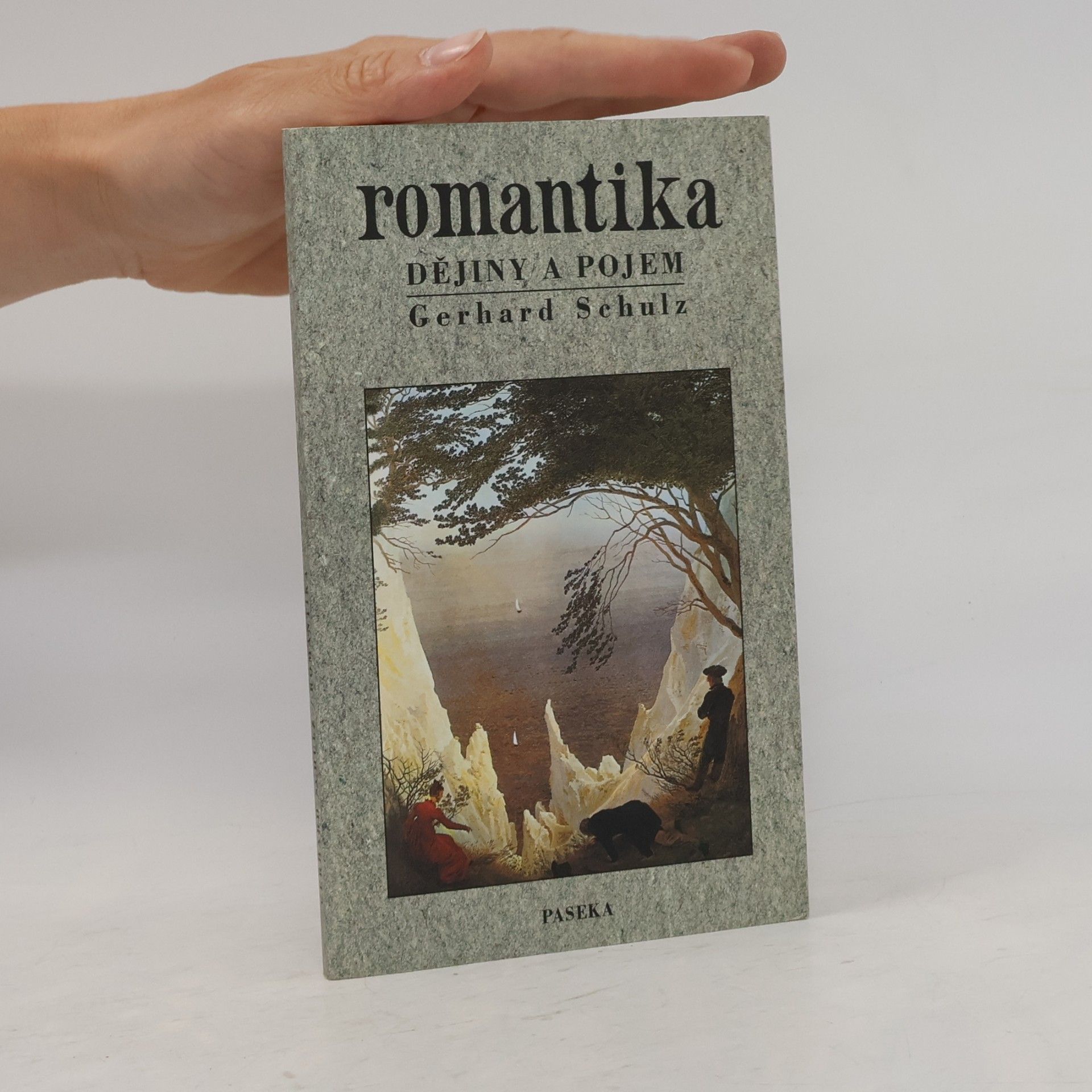 Gerhard Schulz Romantika. Dějiny a pojem