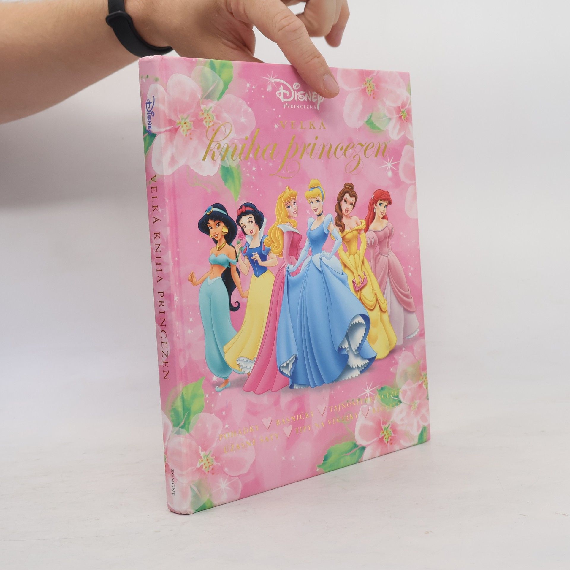 Walt Disney Velká kniha princezen