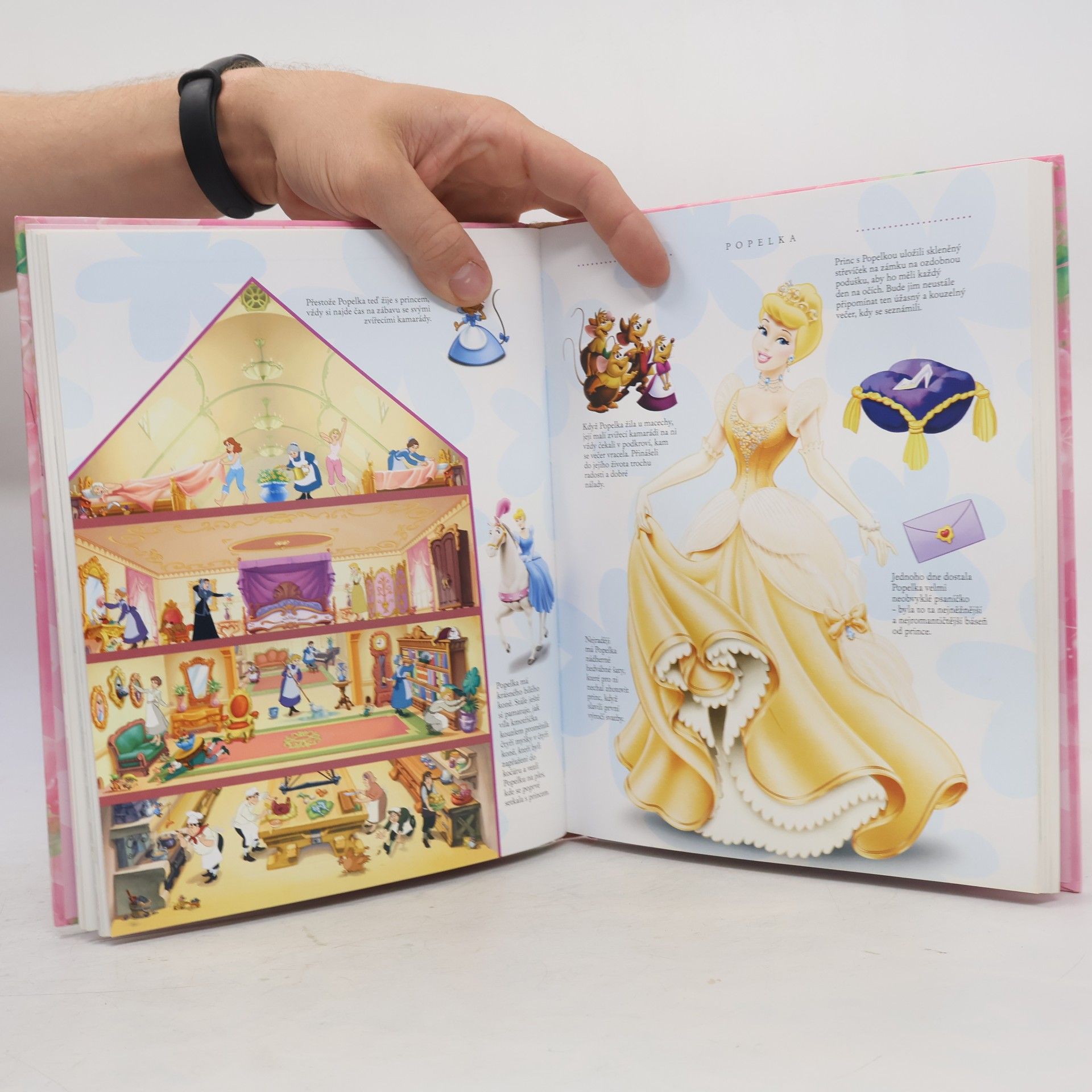 Walt Disney Velká kniha princezen