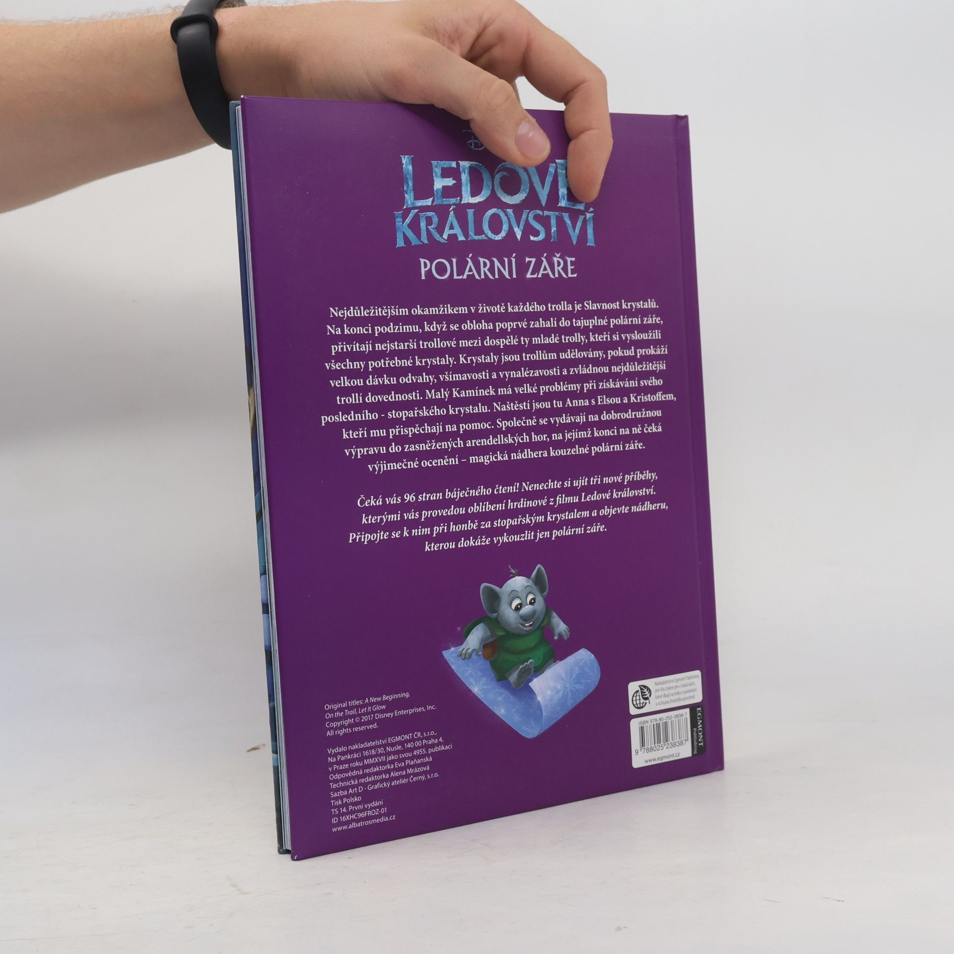 Autorenkollektiv Zlatá kniha. Polární záře. Ledové království