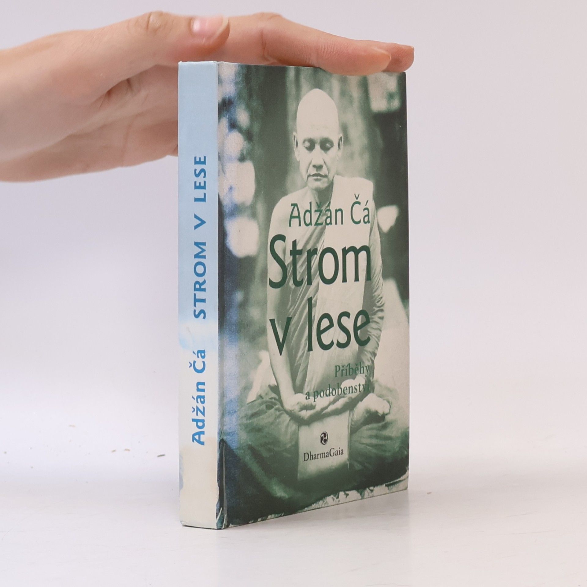 Čá Strom v lese : příběhy a podobenství