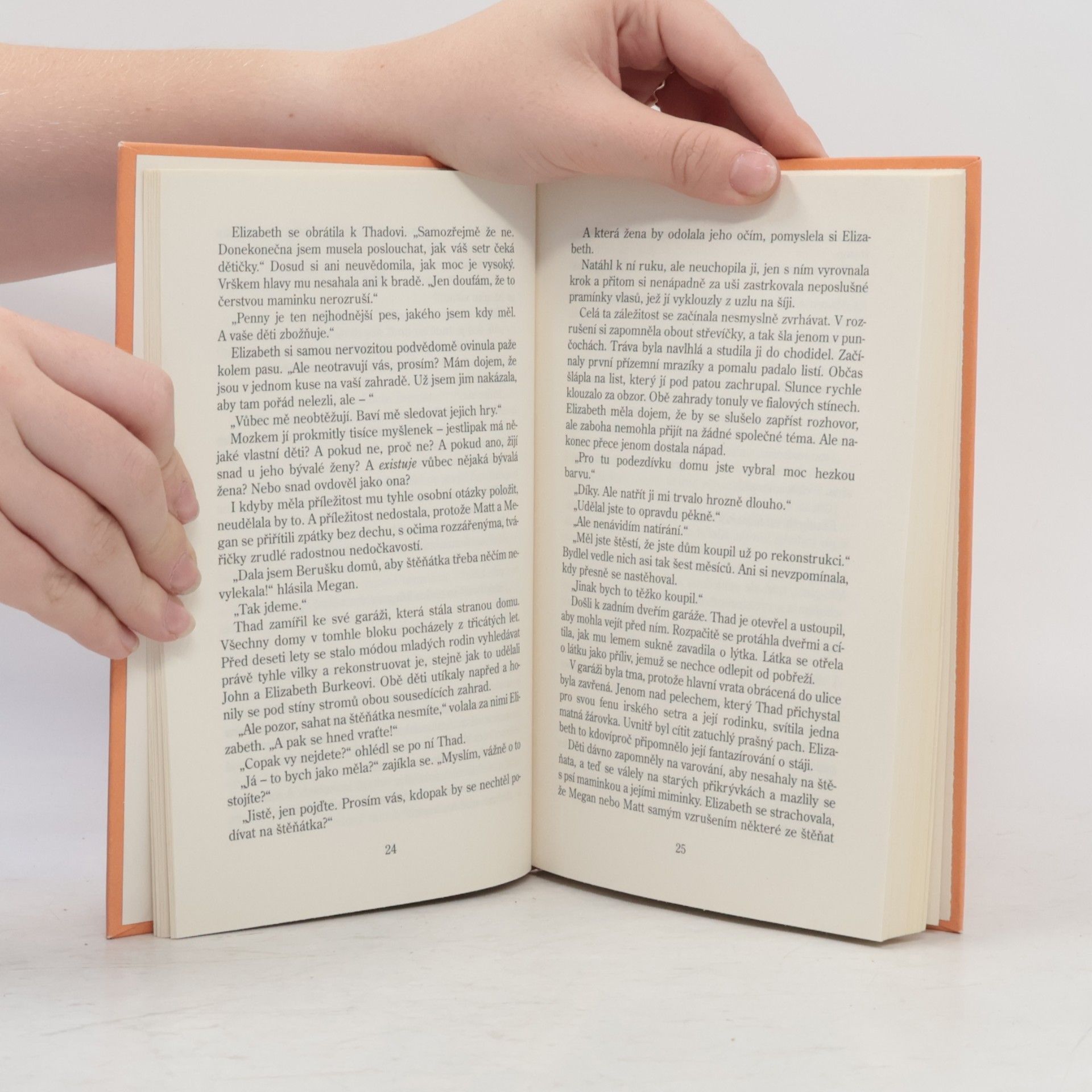 Sandra Brown Milenec ze snů