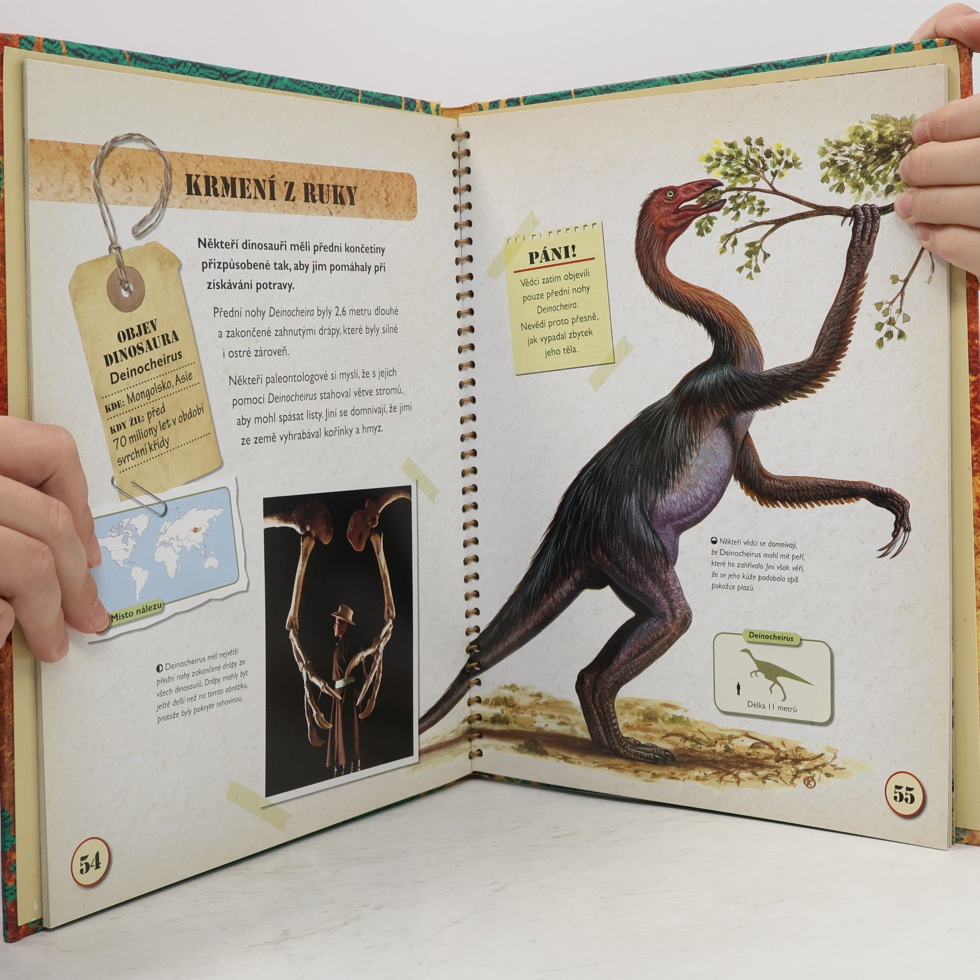 Rupert Matthews Velká kniha Dinosauři