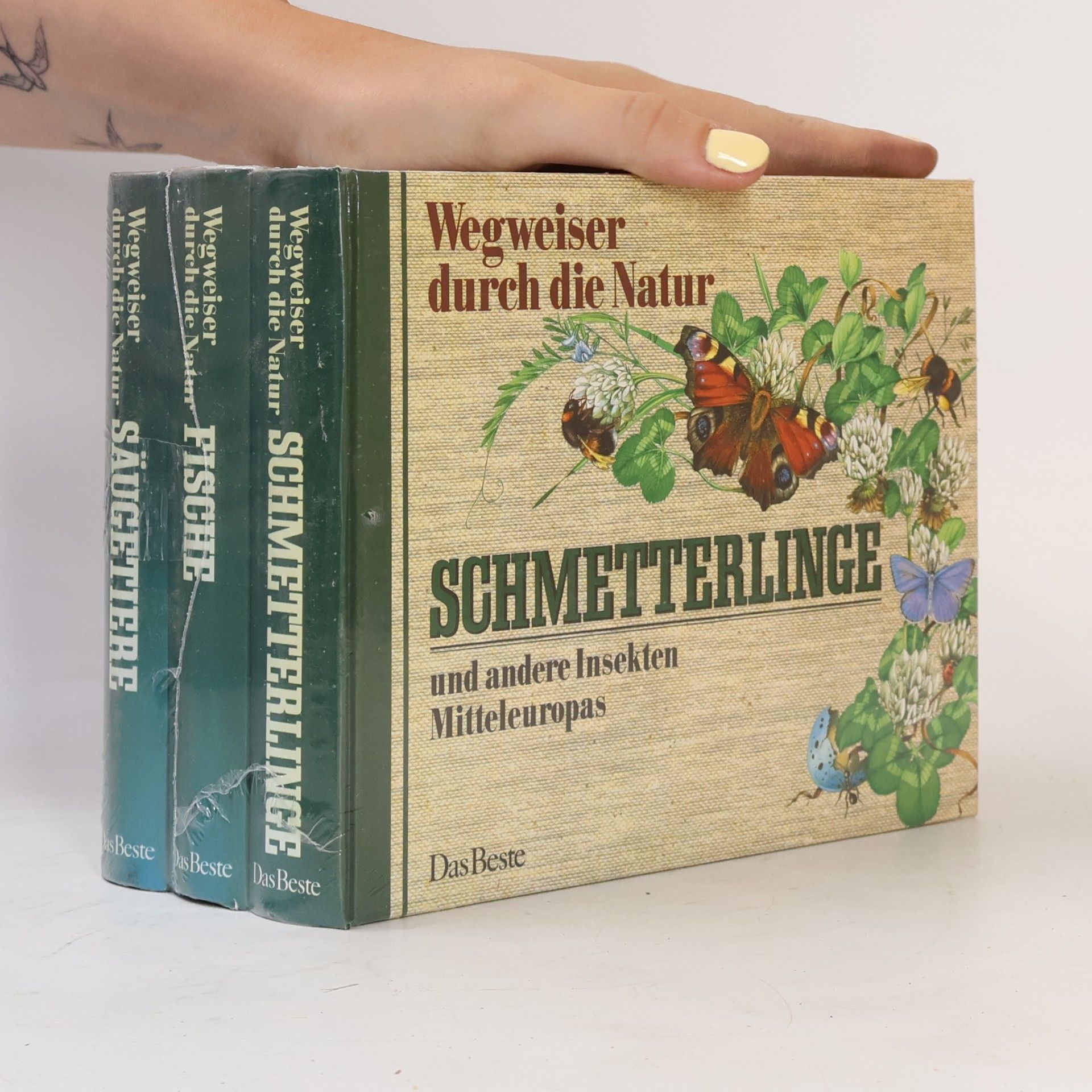Autorenkollektiv Wegweiser durch die Natur. Schmetterlinge. Fische. Säugetiere