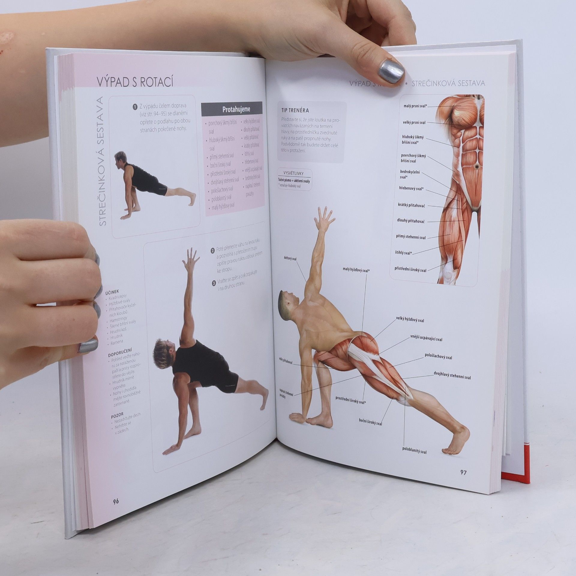 Craig Ramsay Strečink - anatomie