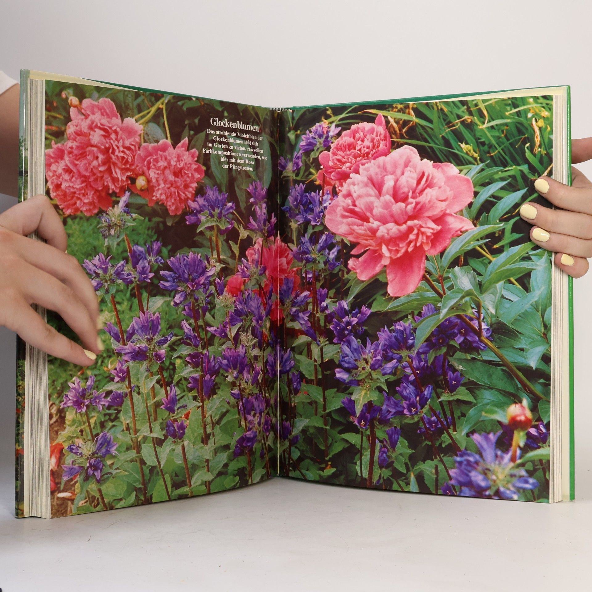 Kolektív autorov Blumen & Garten : Das praktische Pflanzen-ABC (2, Ew-He)